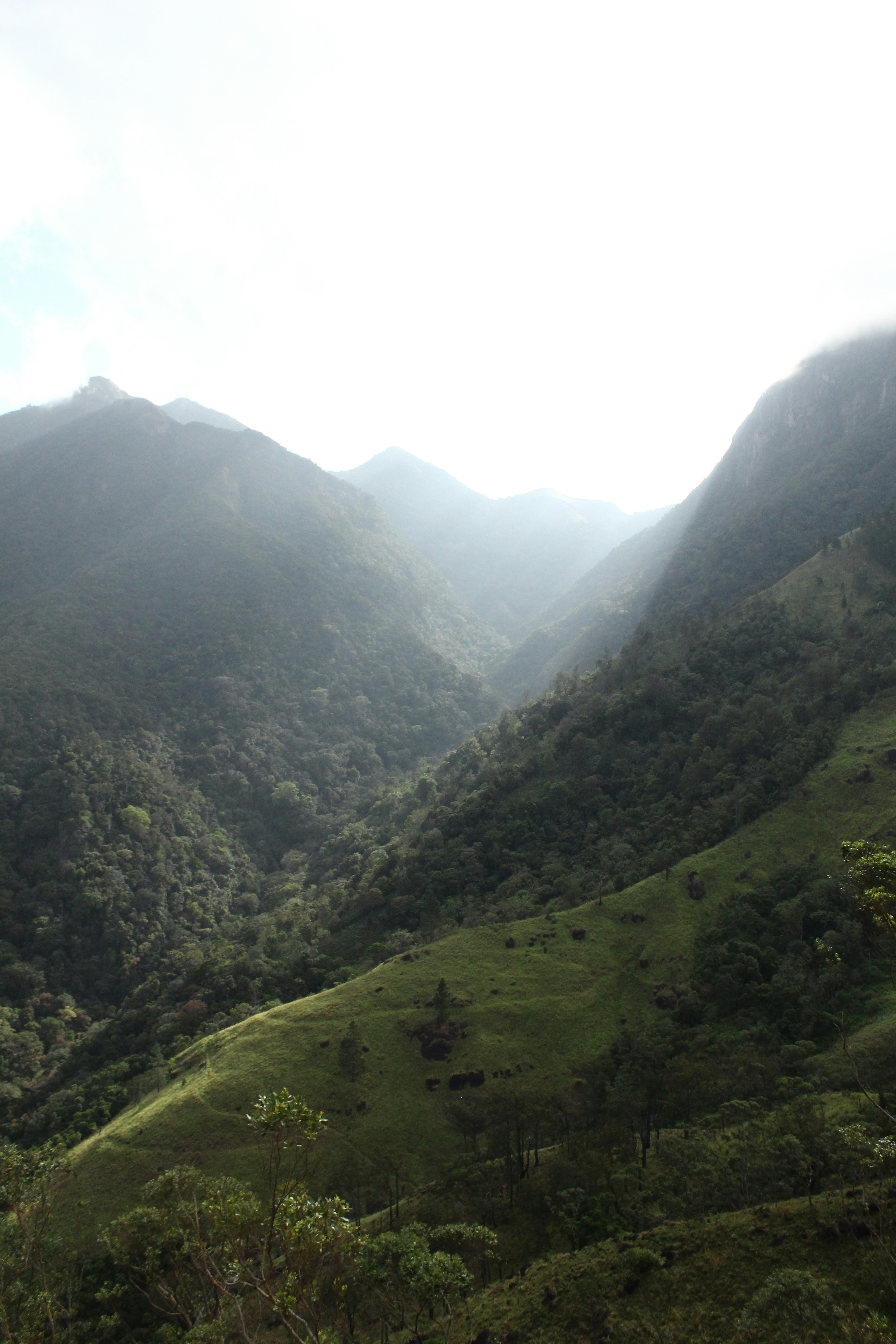 Photo by jules_unsplash