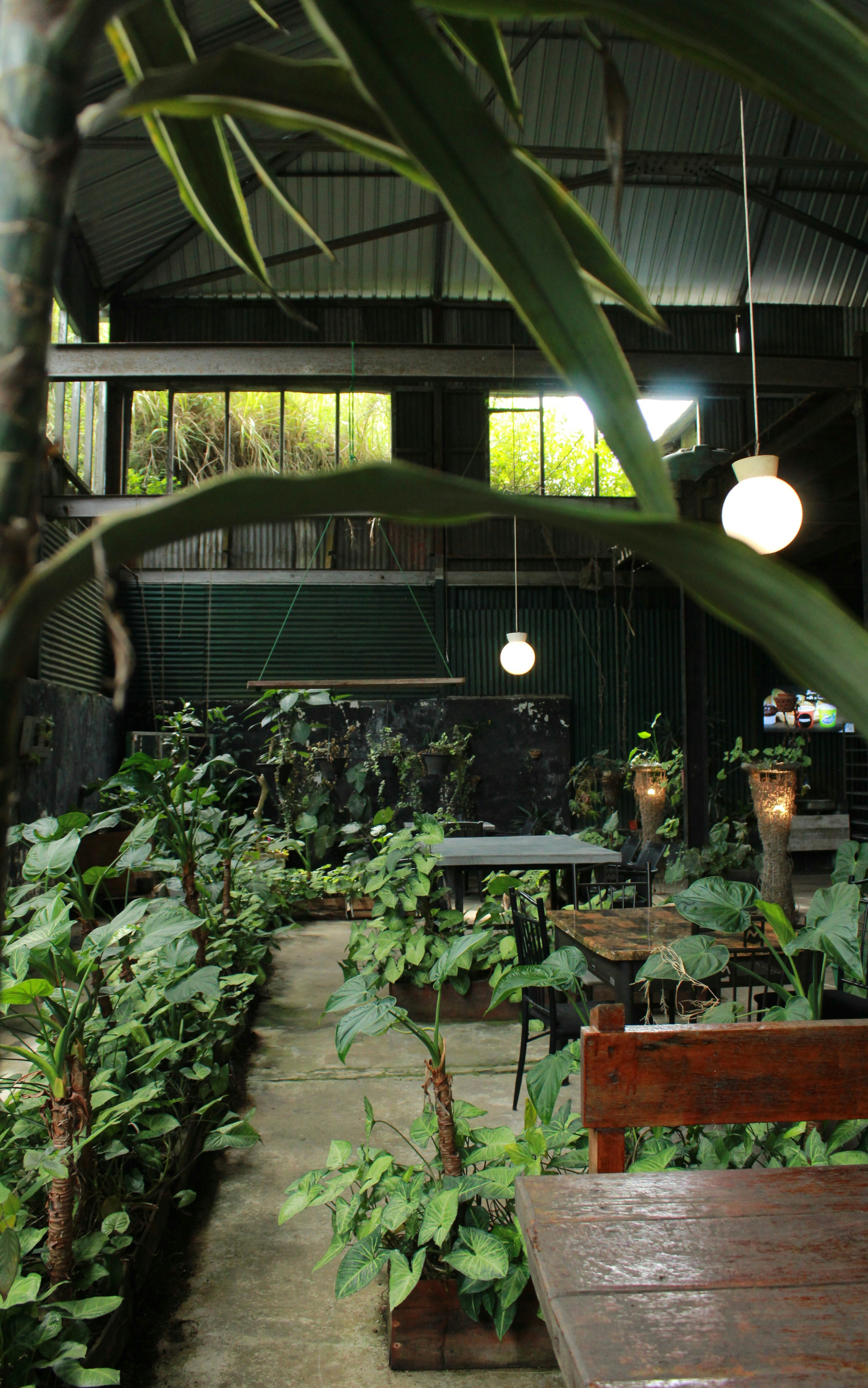 Photo by jules_unsplash