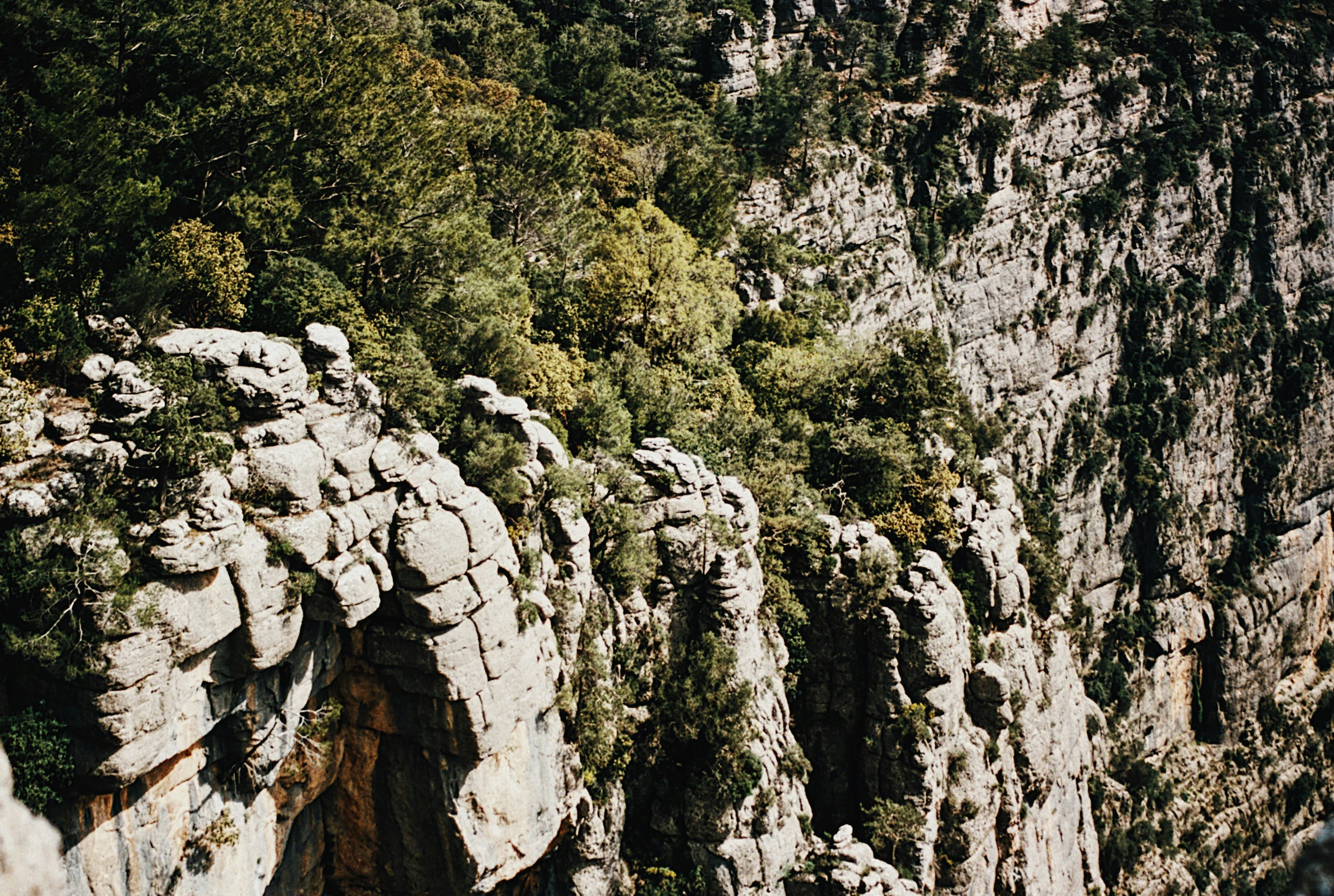 Photo by yzhuravleva