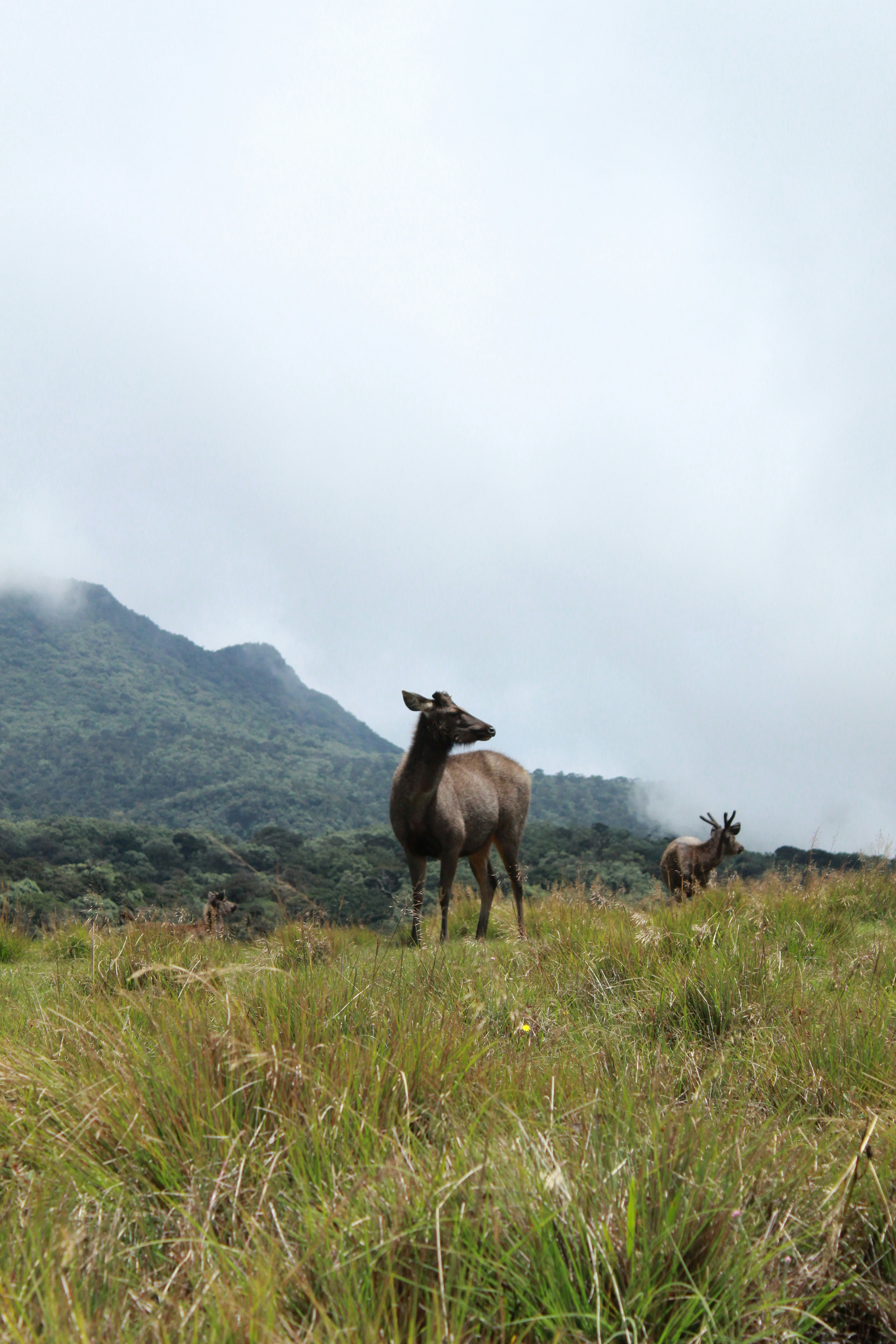 Photo by jules_unsplash