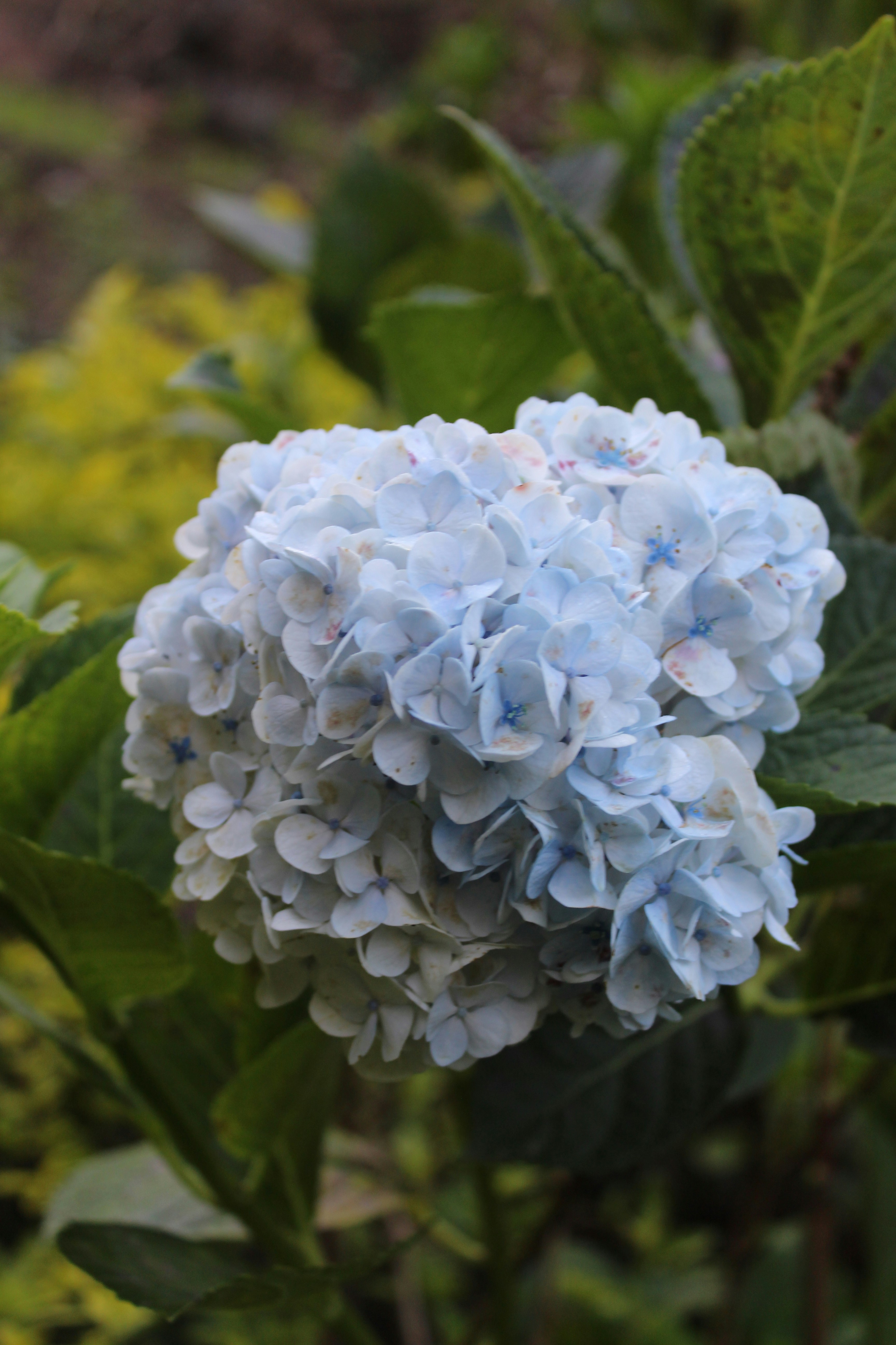 Photo by jules_unsplash