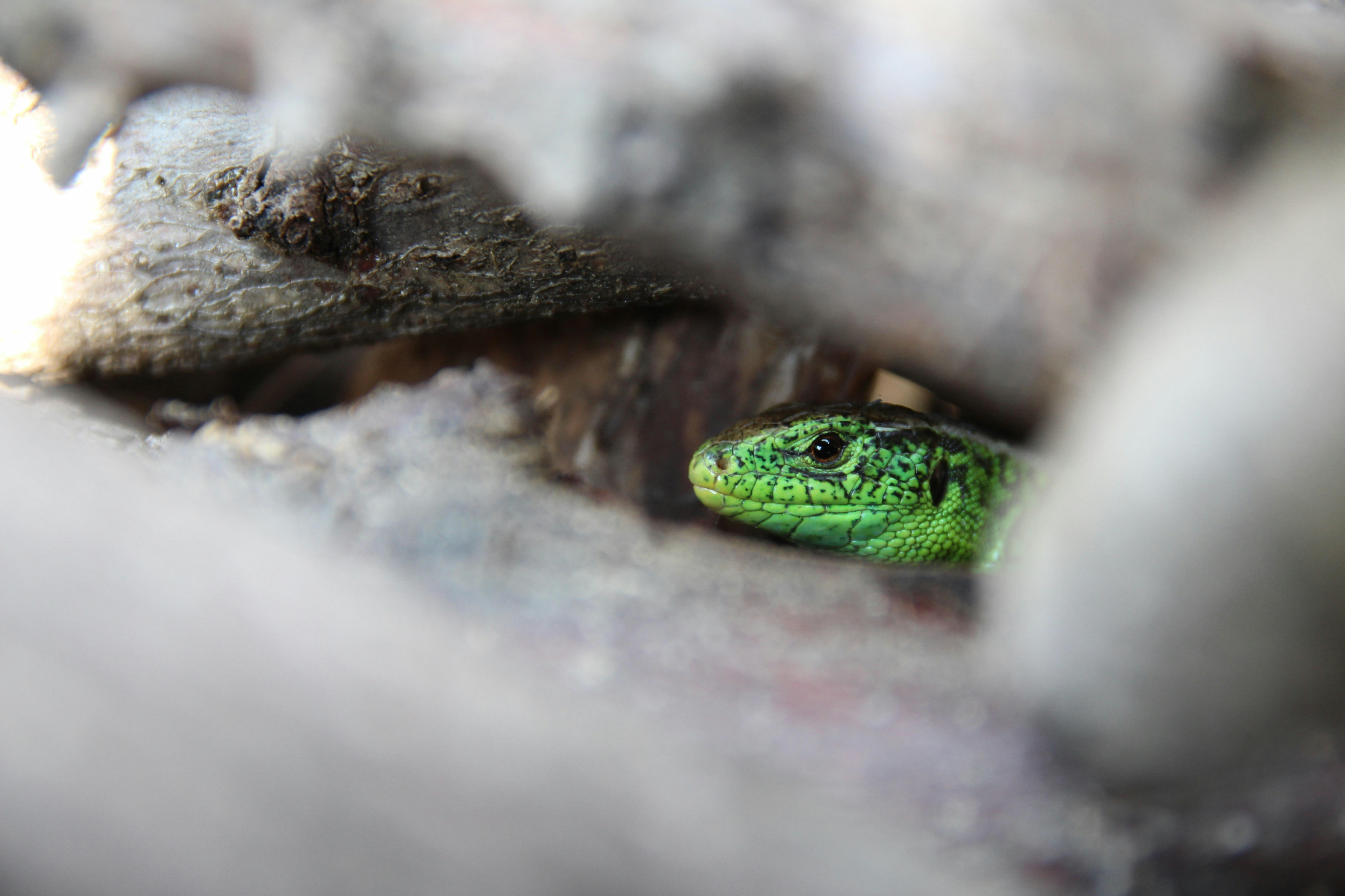 Photo by znphotogarphy