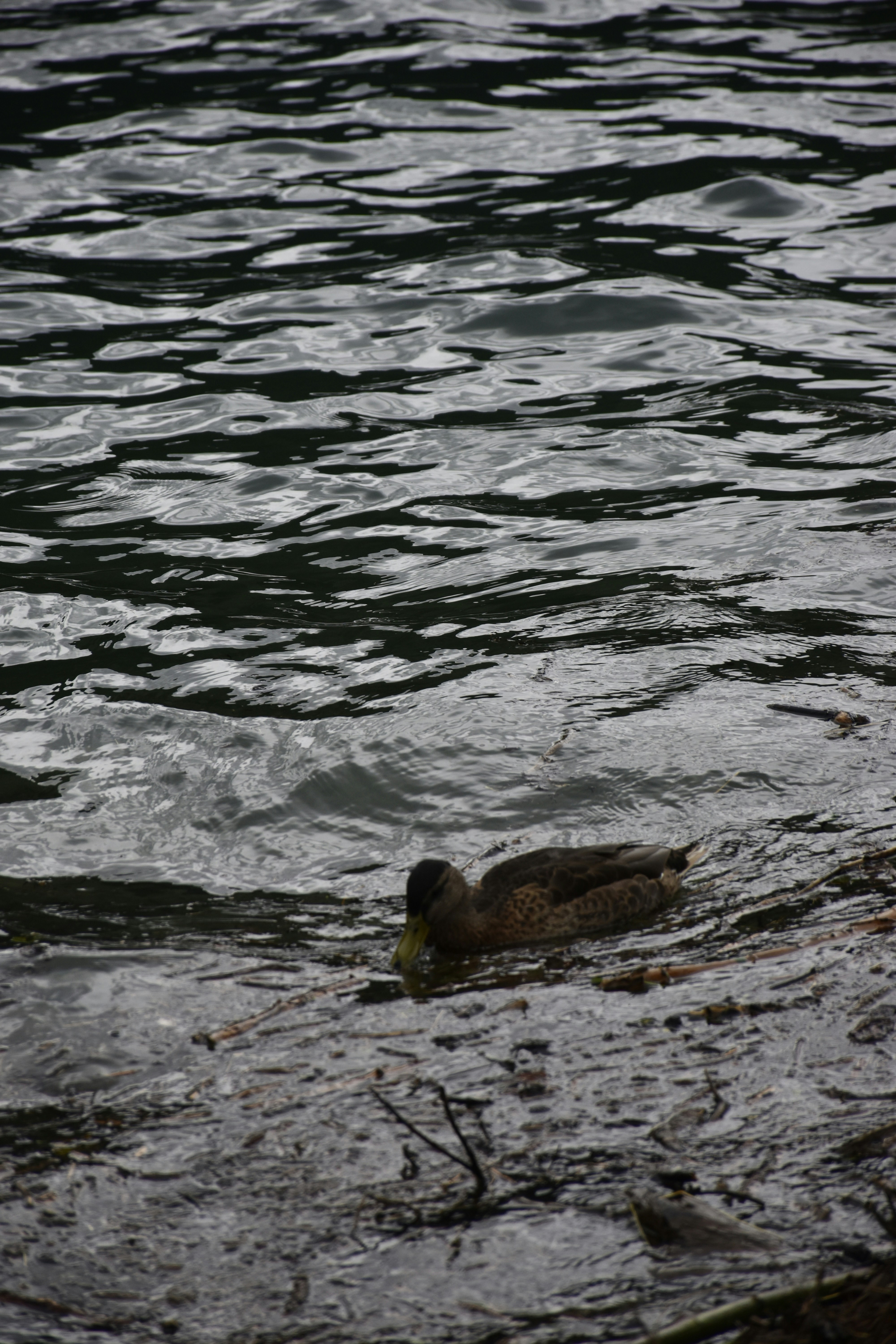 Photo by znphotogarphy