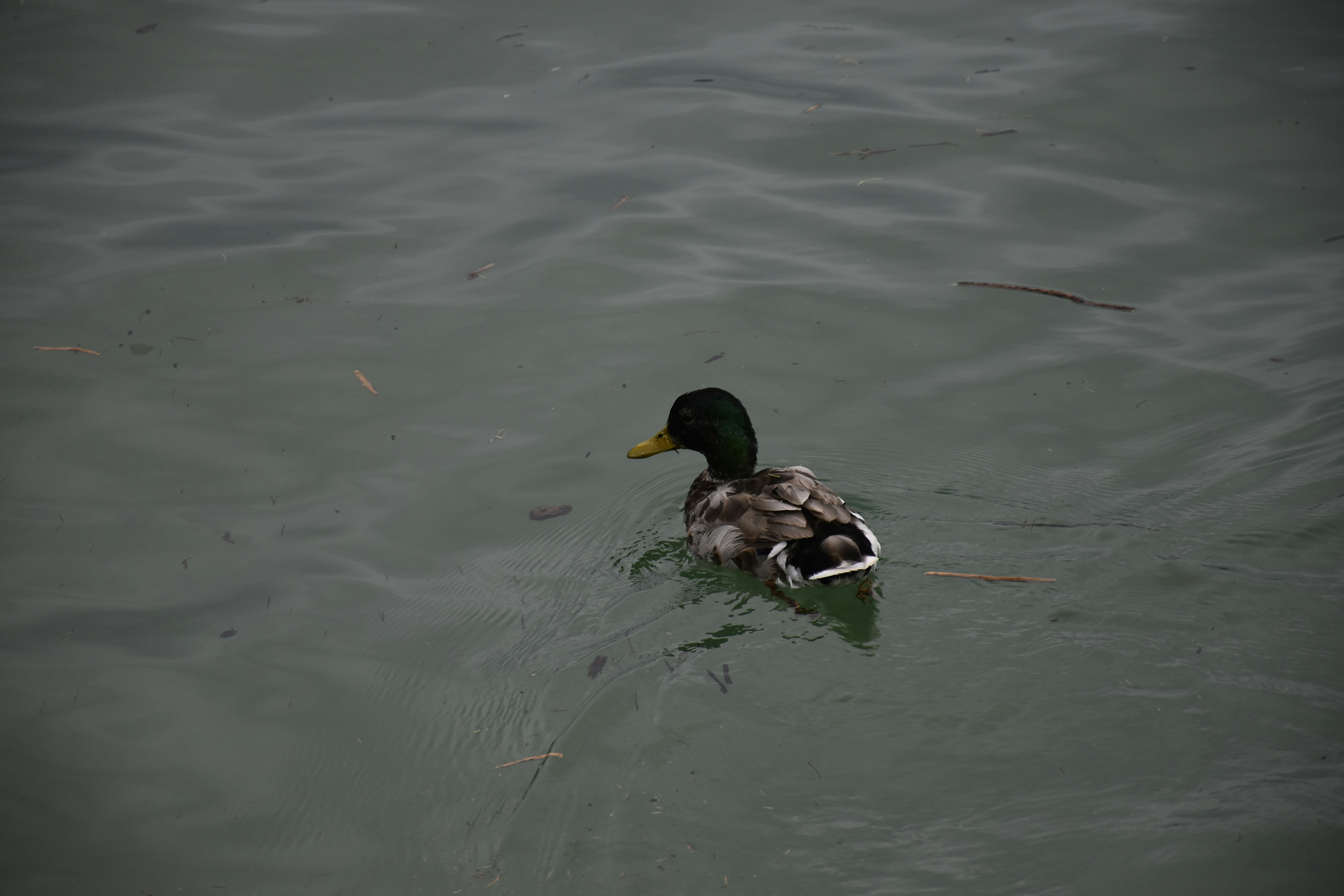 Photo by znphotogarphy