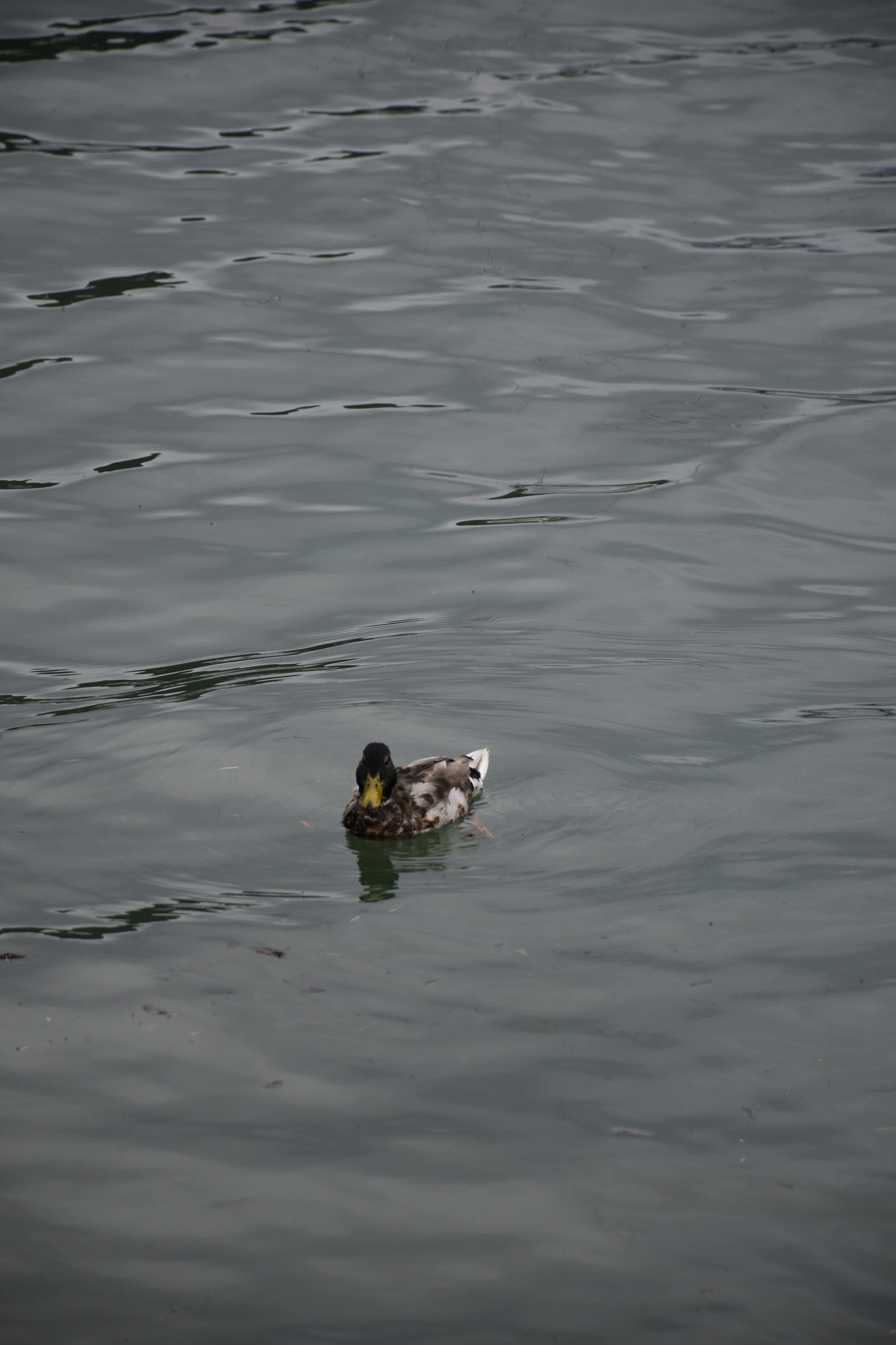 Photo by znphotogarphy