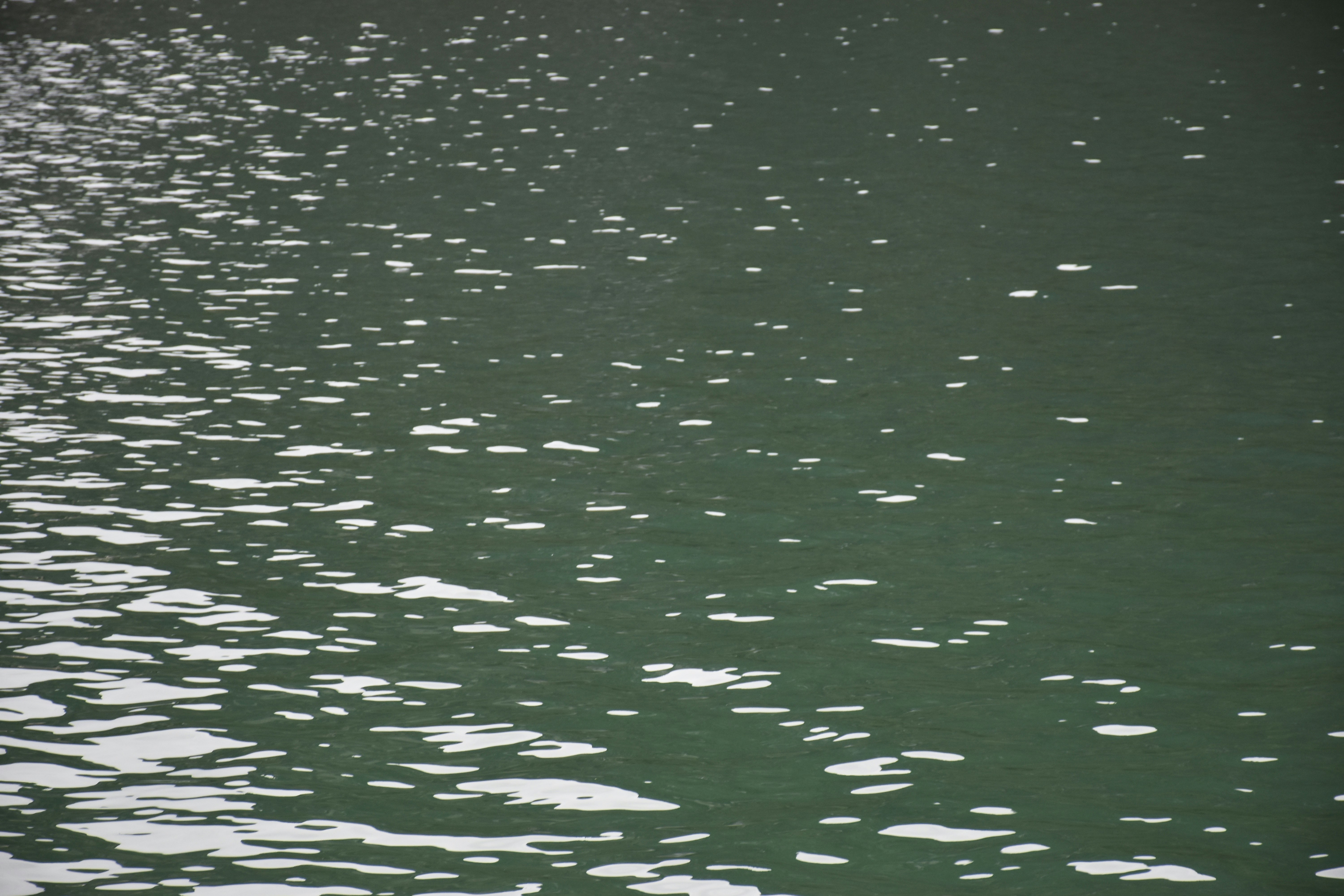 Photo by znphotogarphy