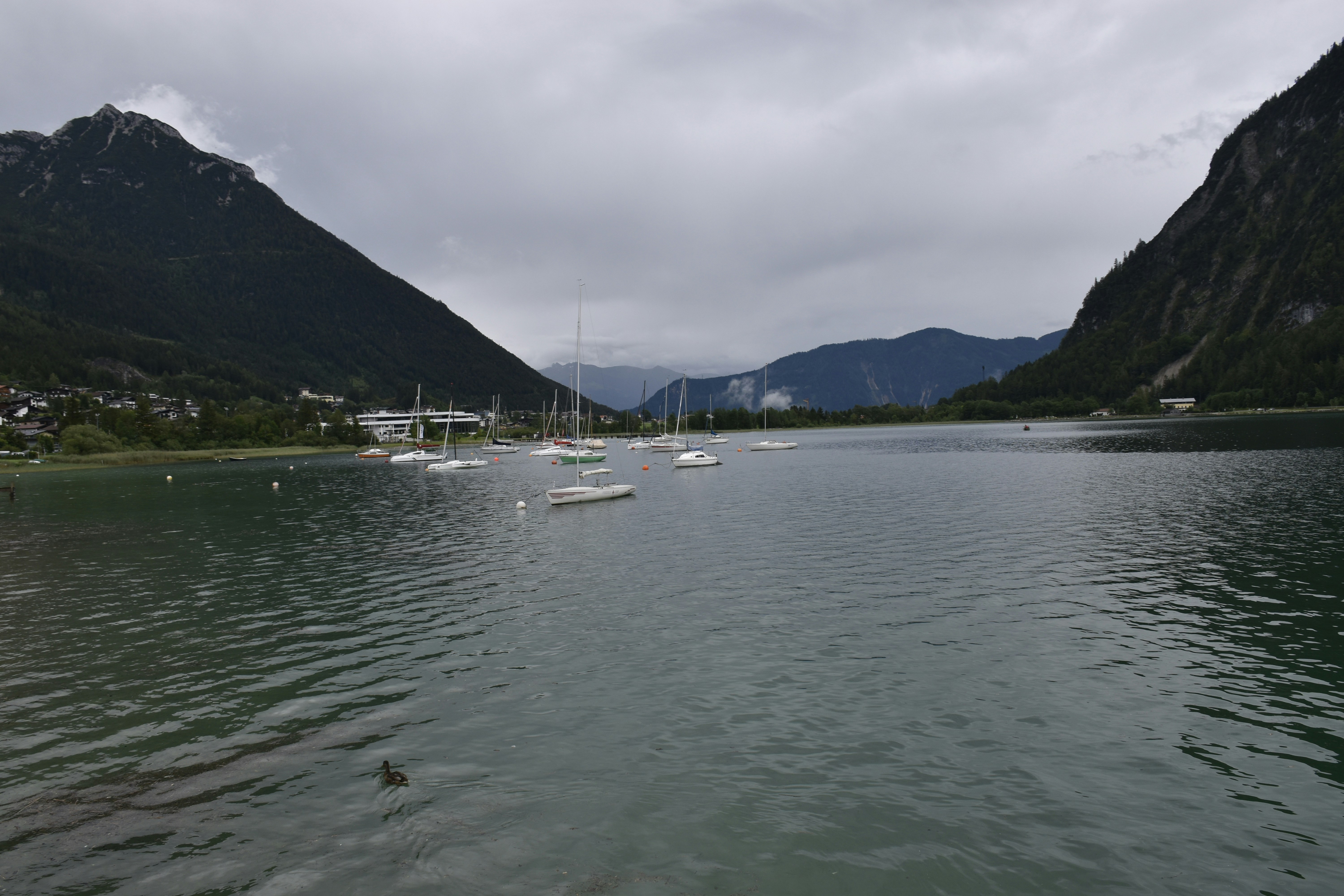 Photo by znphotogarphy