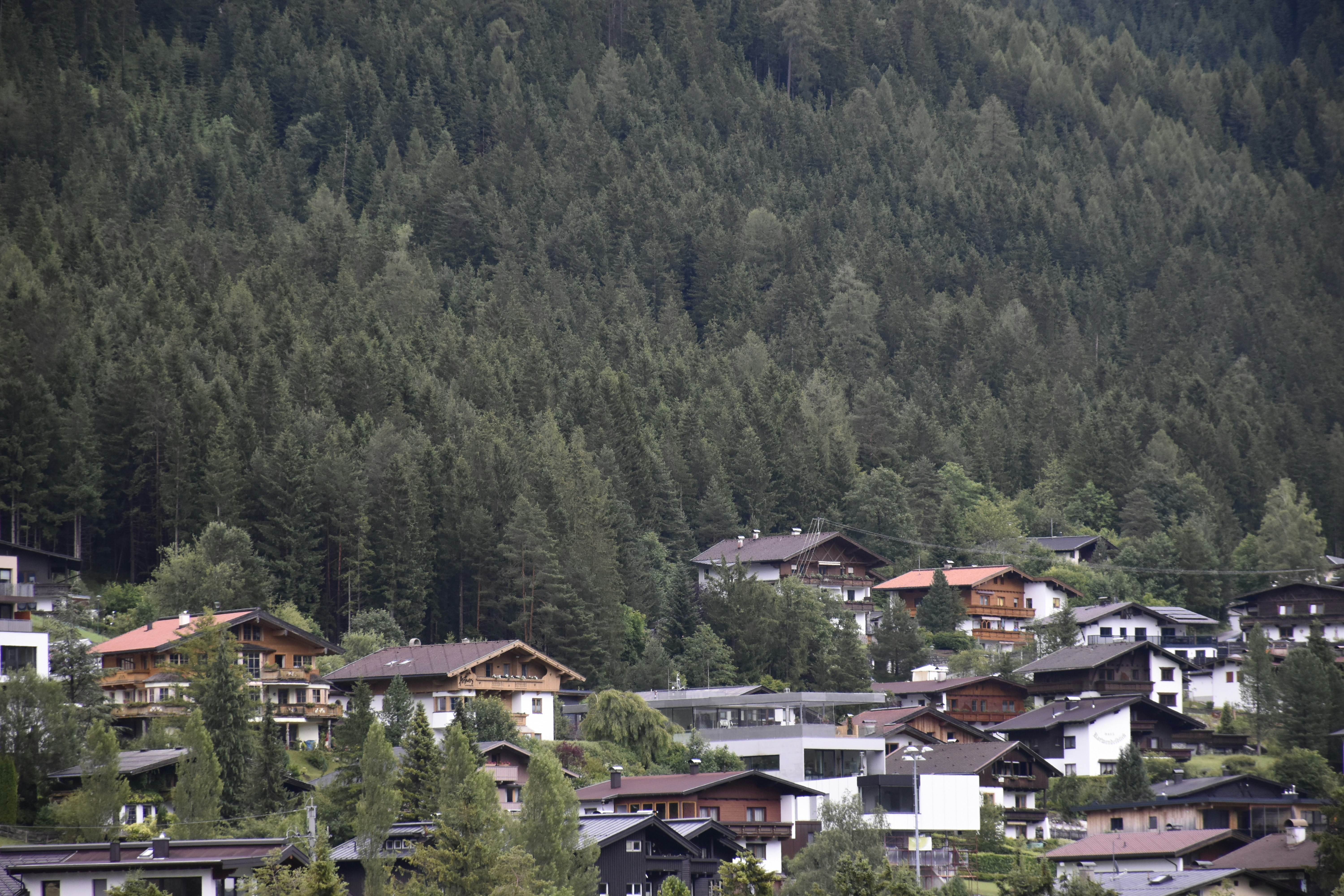 Photo by znphotogarphy