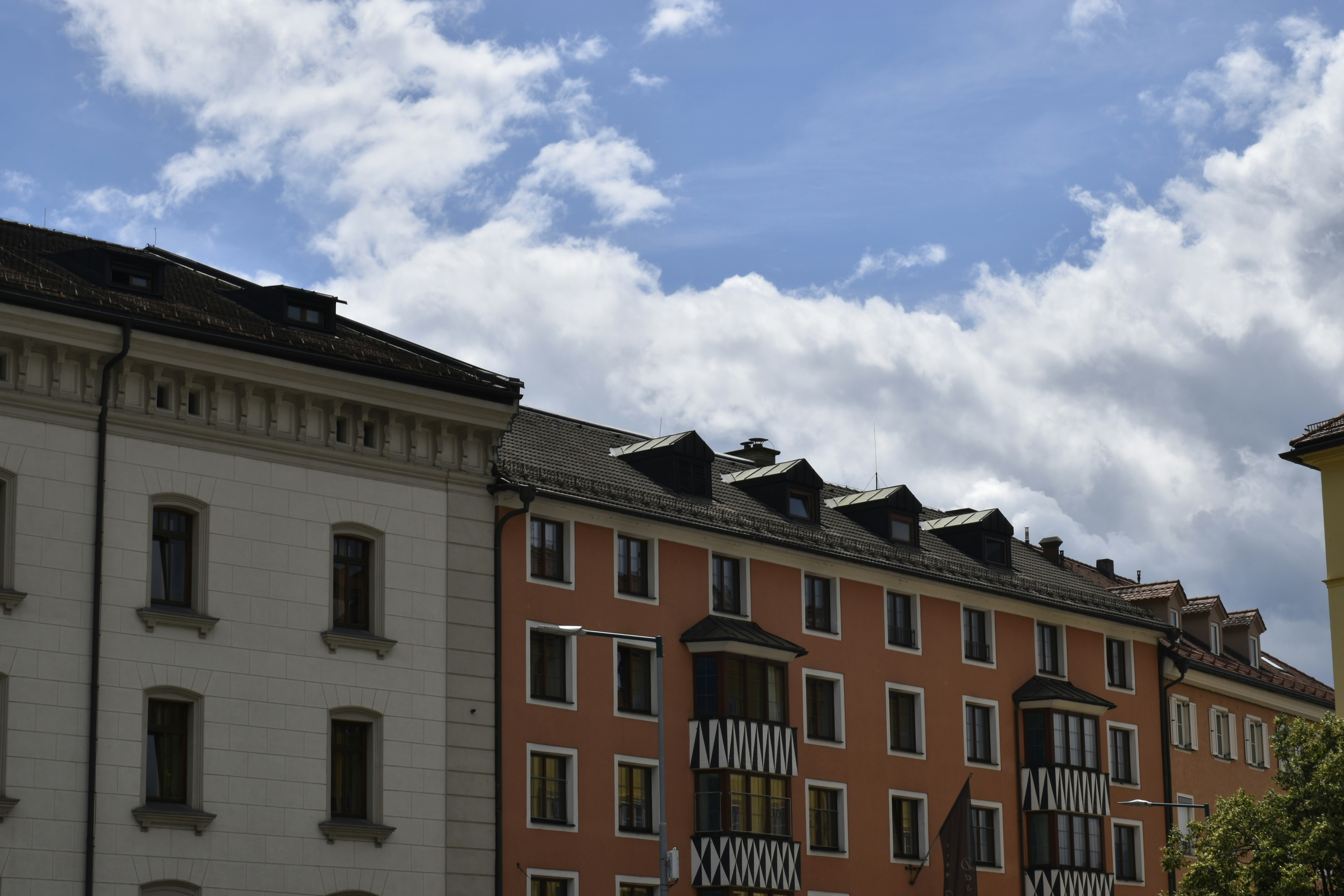 Photo by znphotogarphy