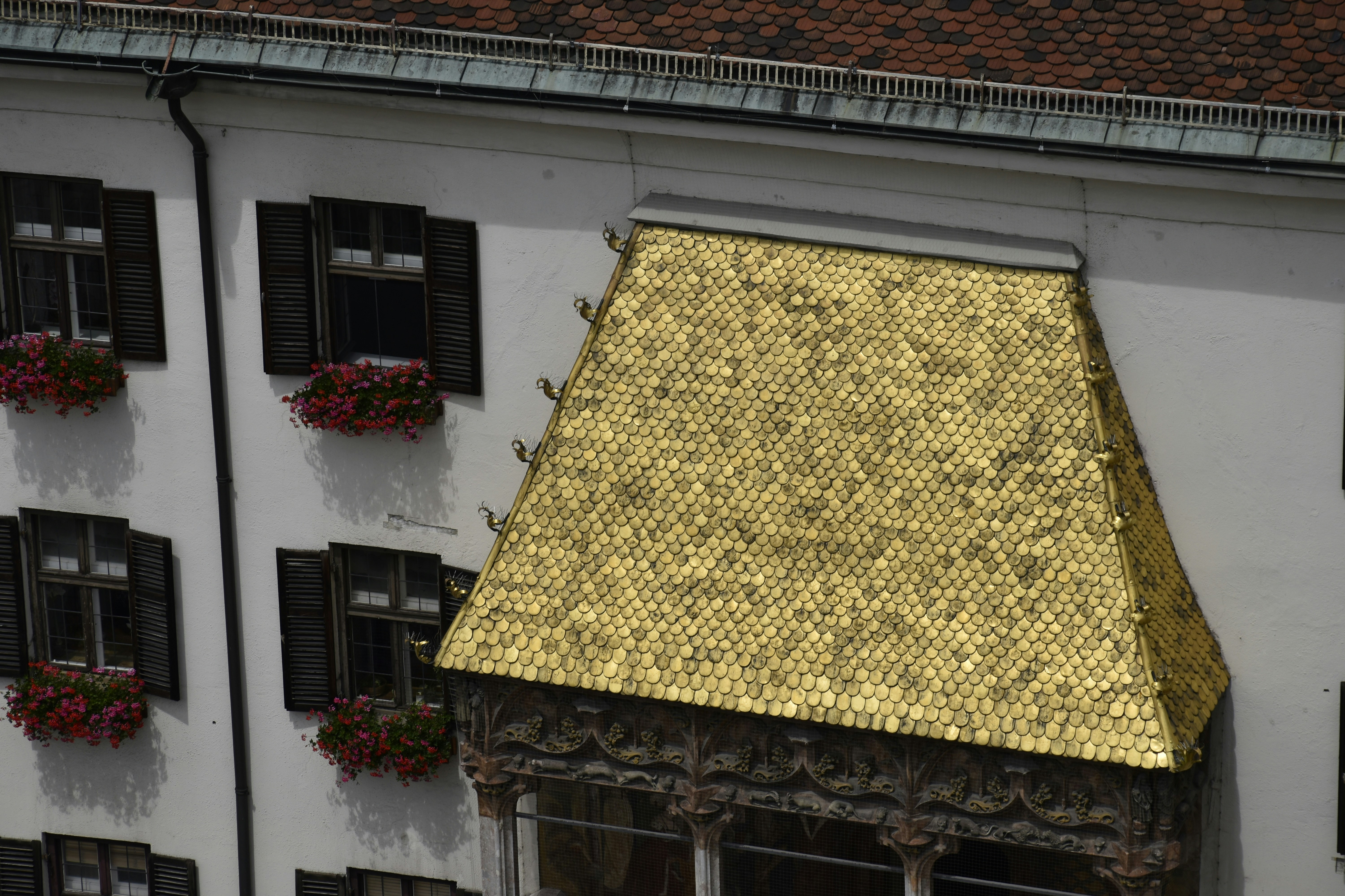 Image by Z N via Unsplash