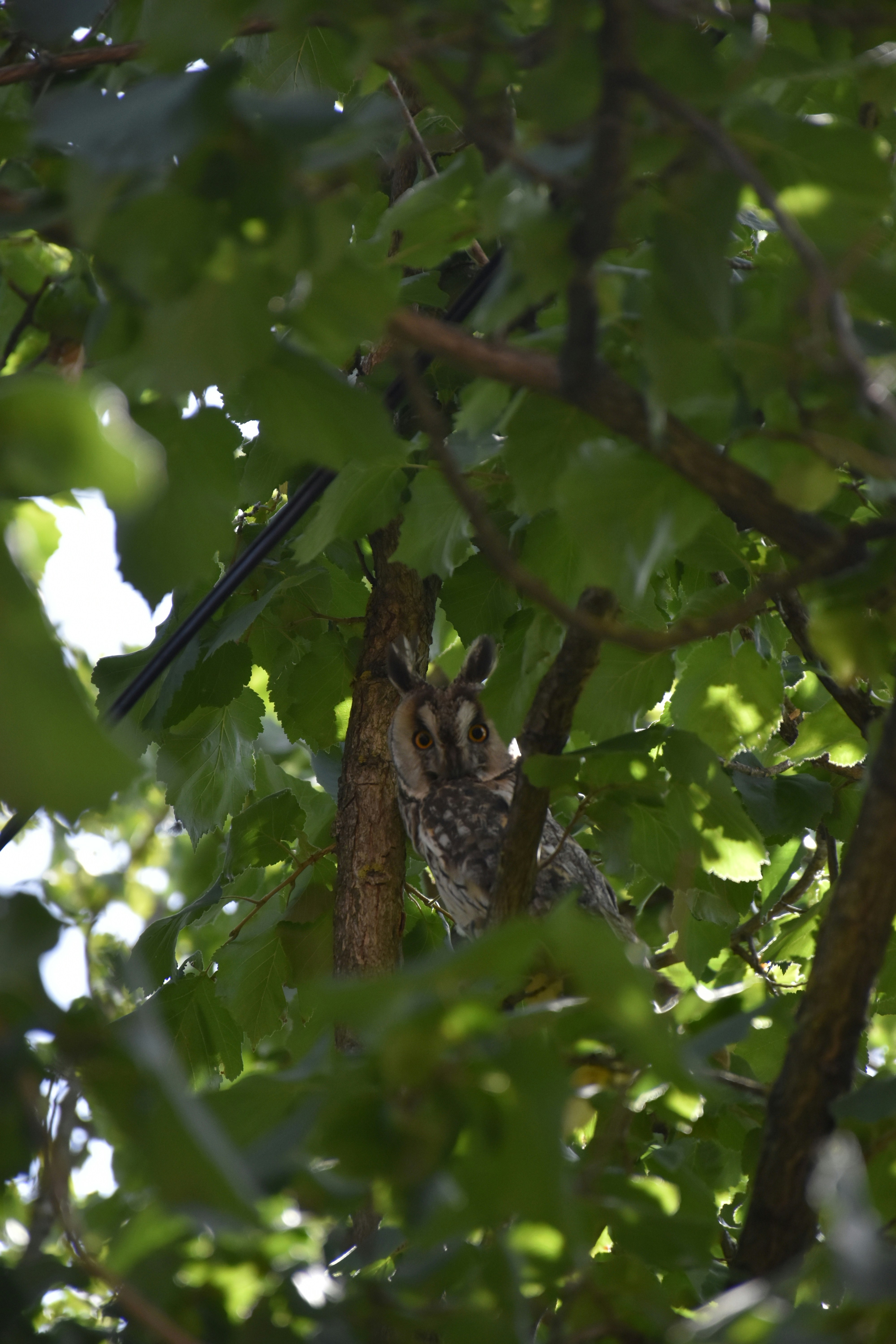 Photo by znphotogarphy