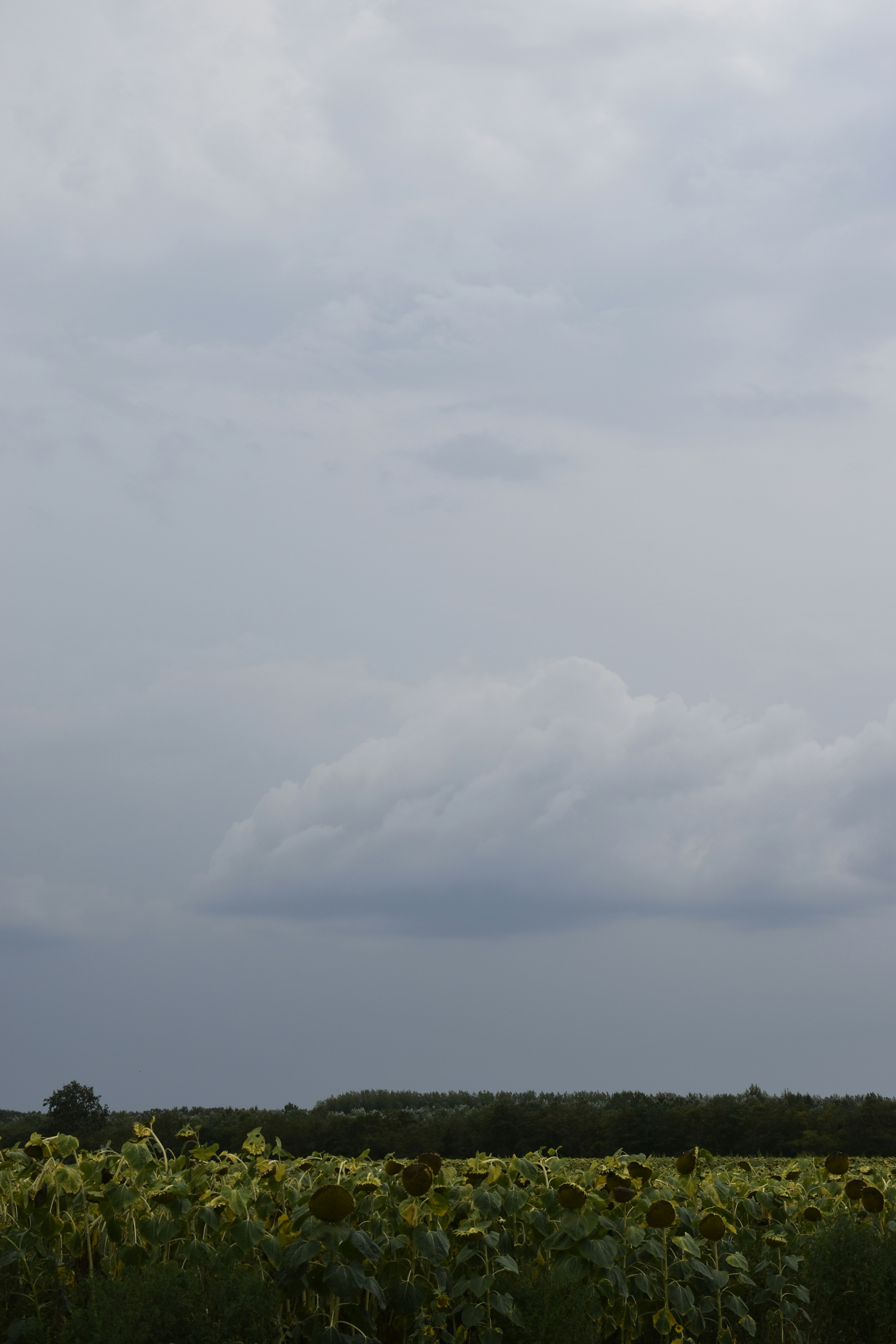 Photo by znphotogarphy