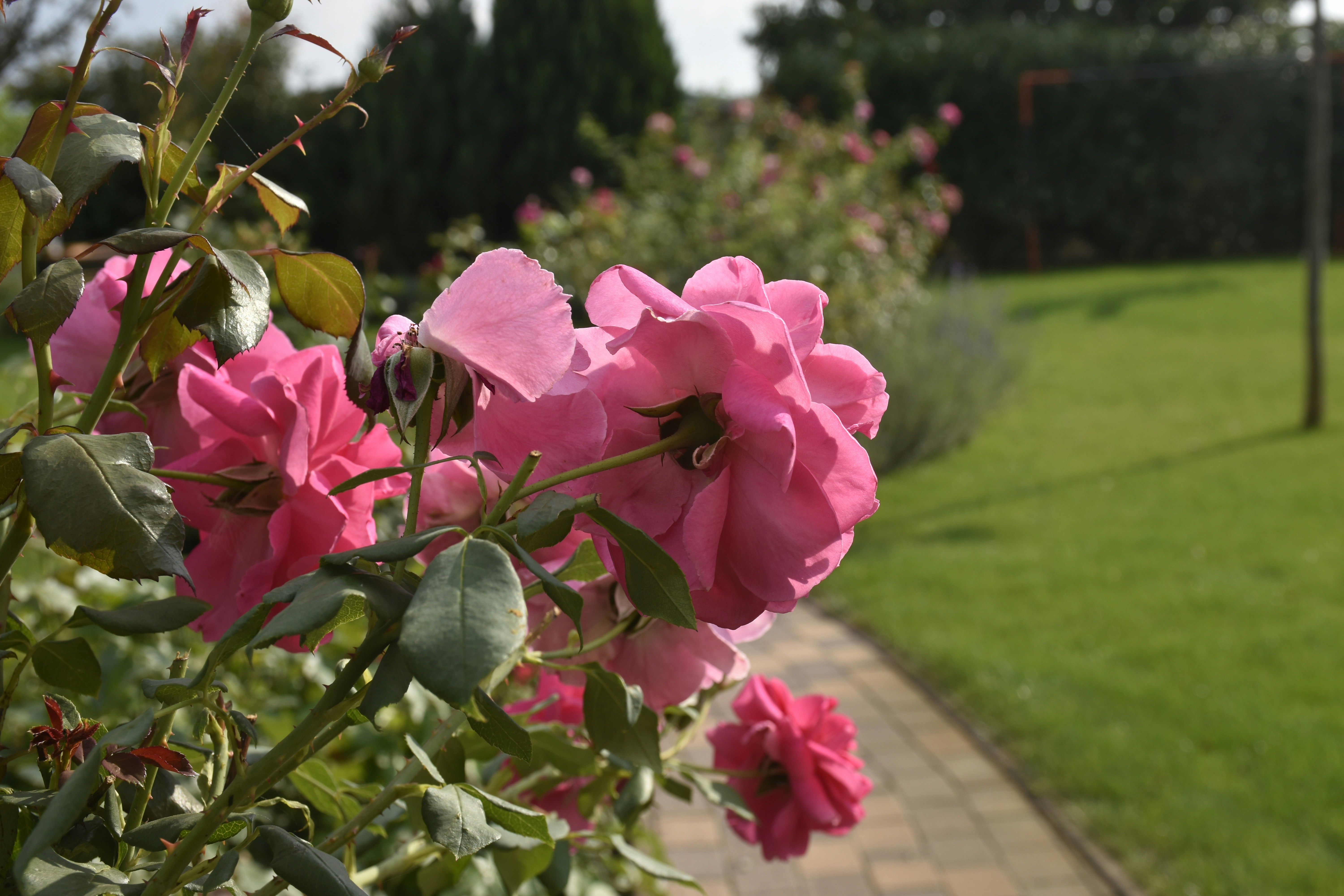 Photo by znphotogarphy