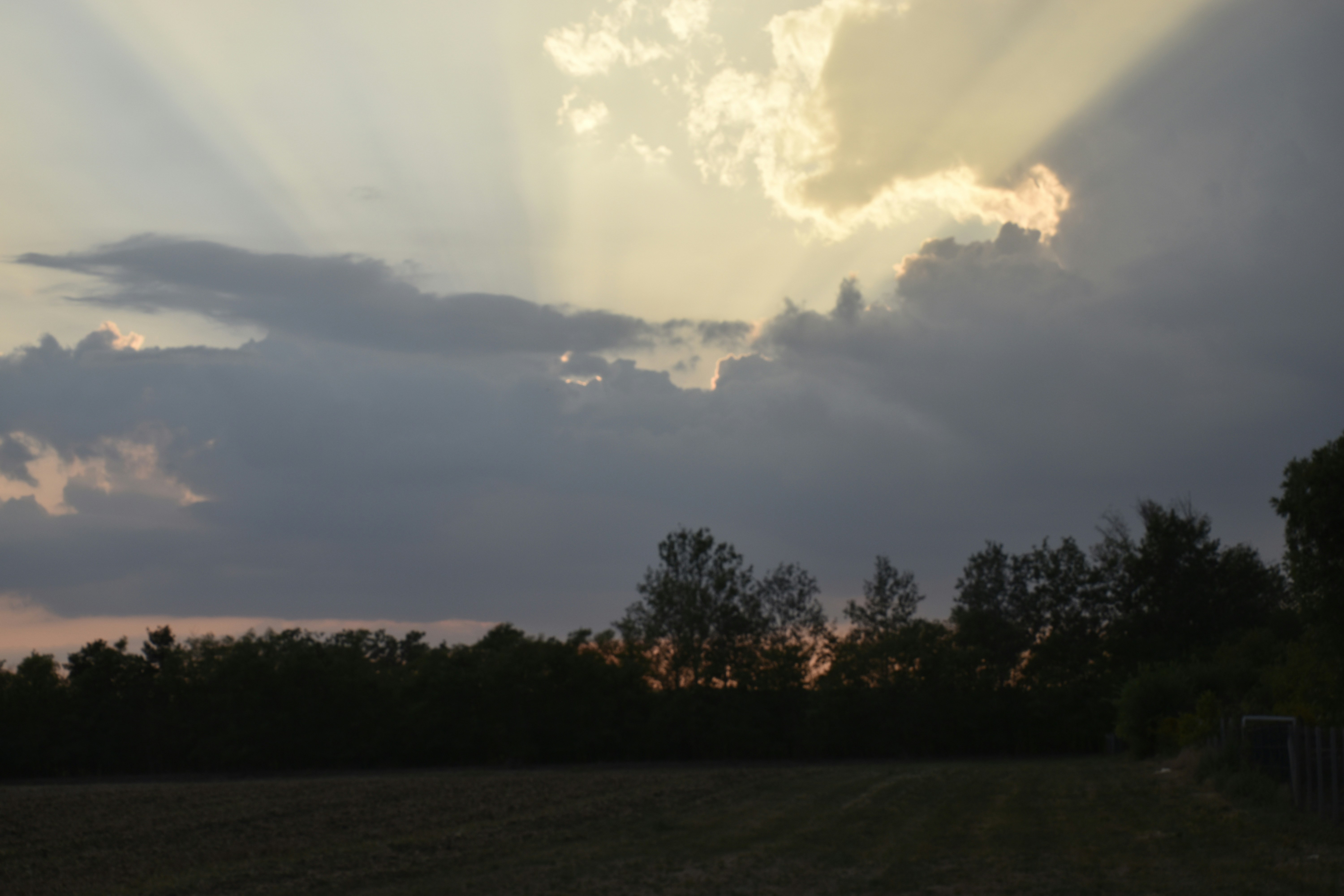 Photo by znphotogarphy