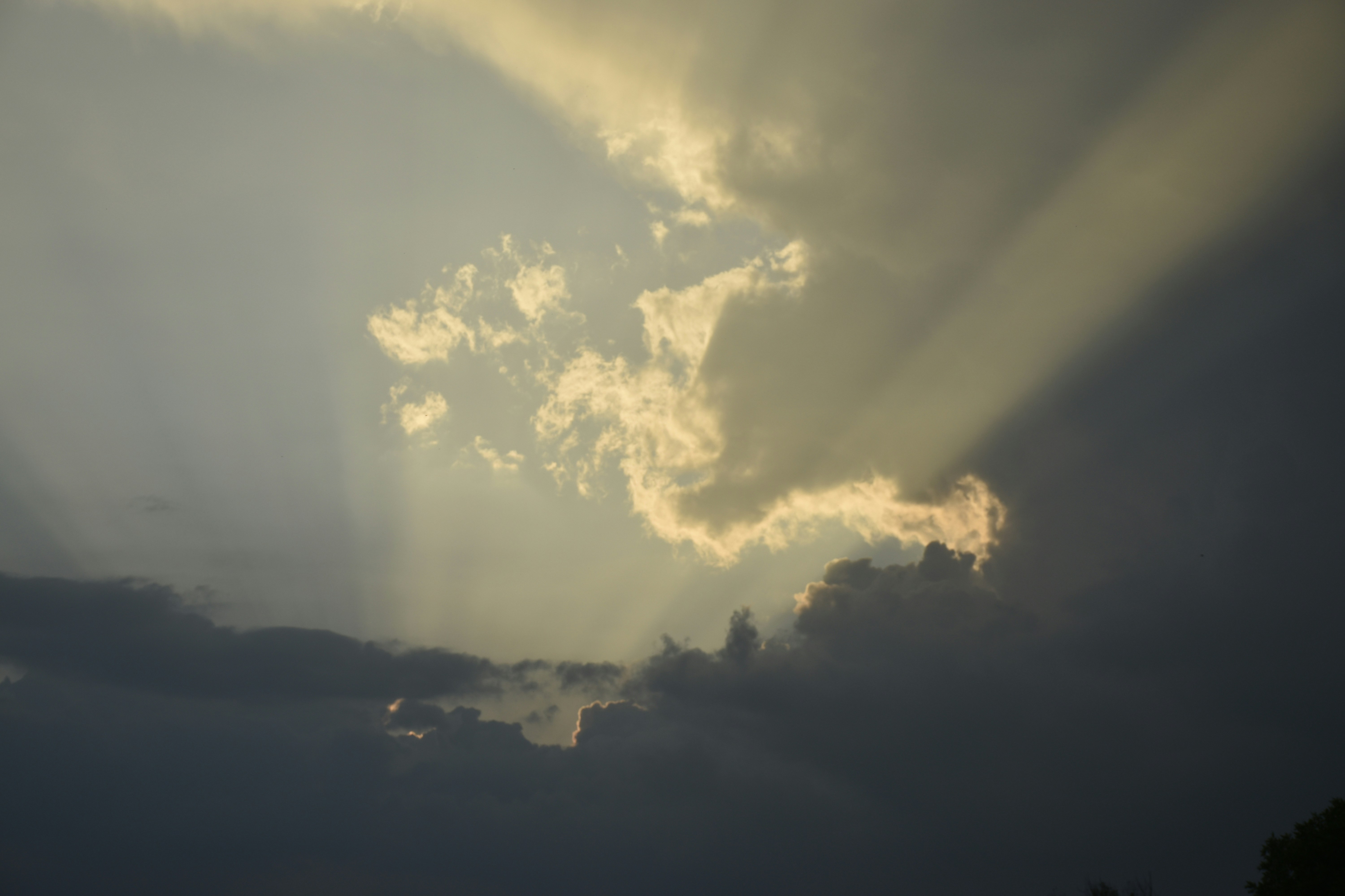 Photo by znphotogarphy