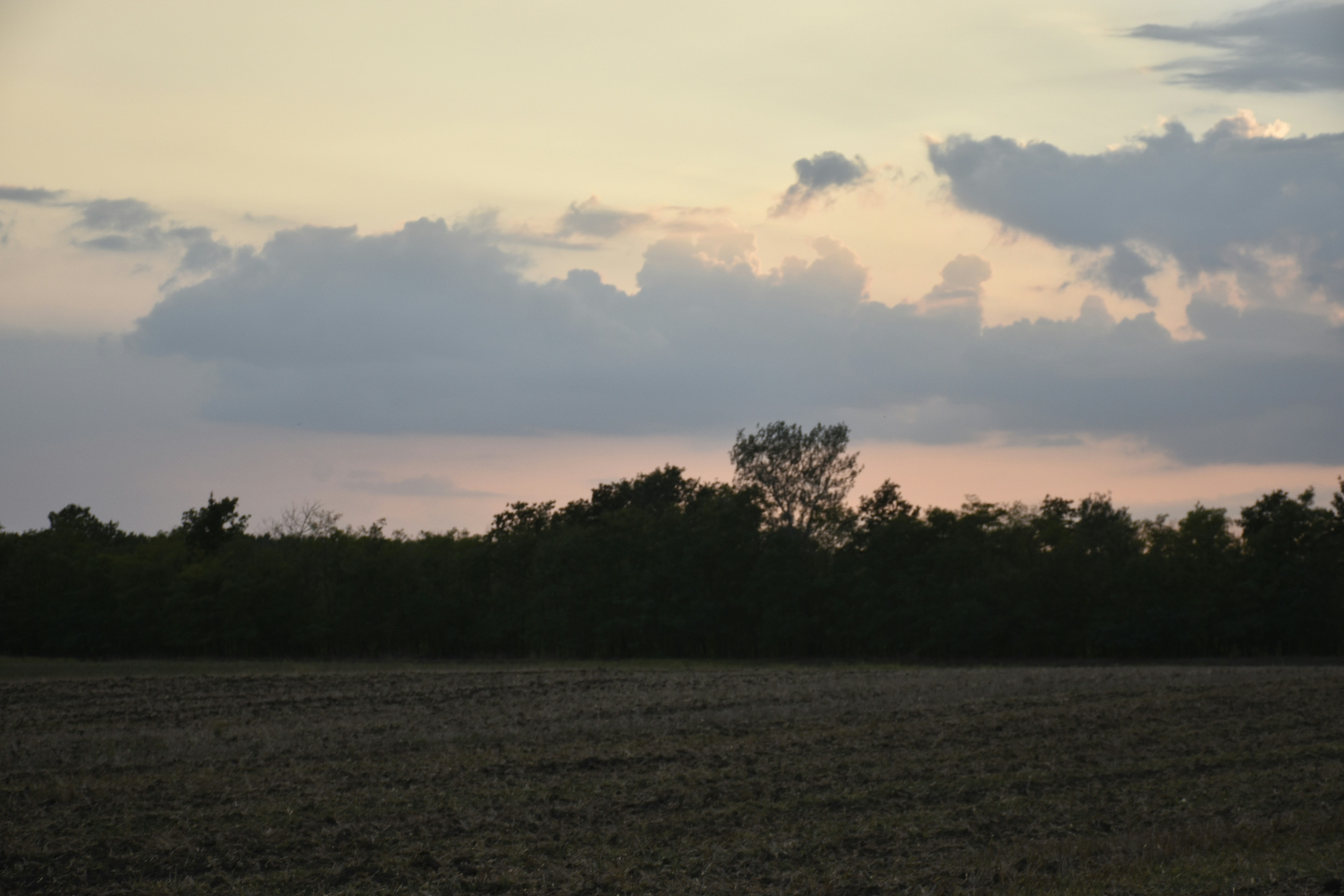 Photo by znphotogarphy