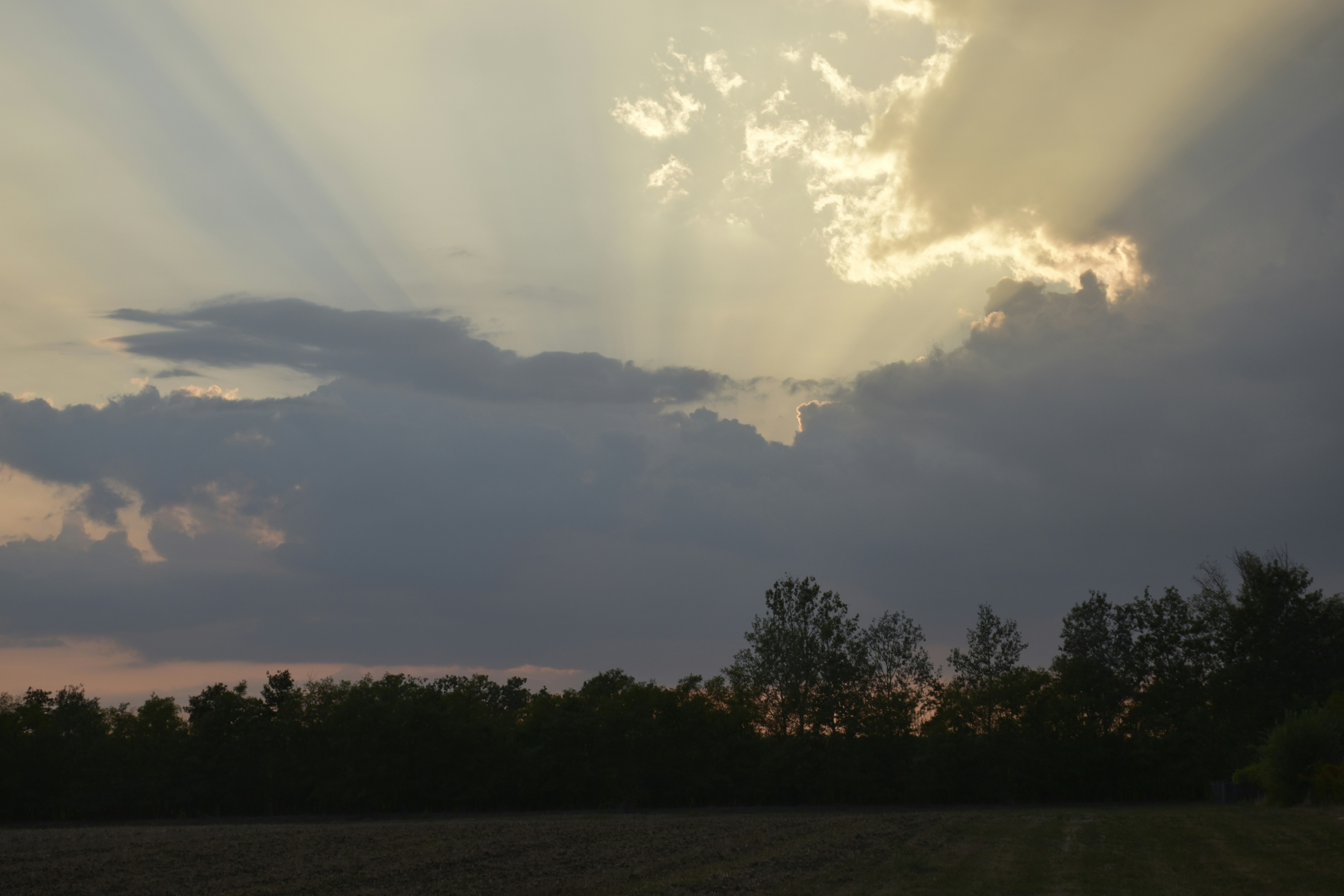 Photo by znphotogarphy