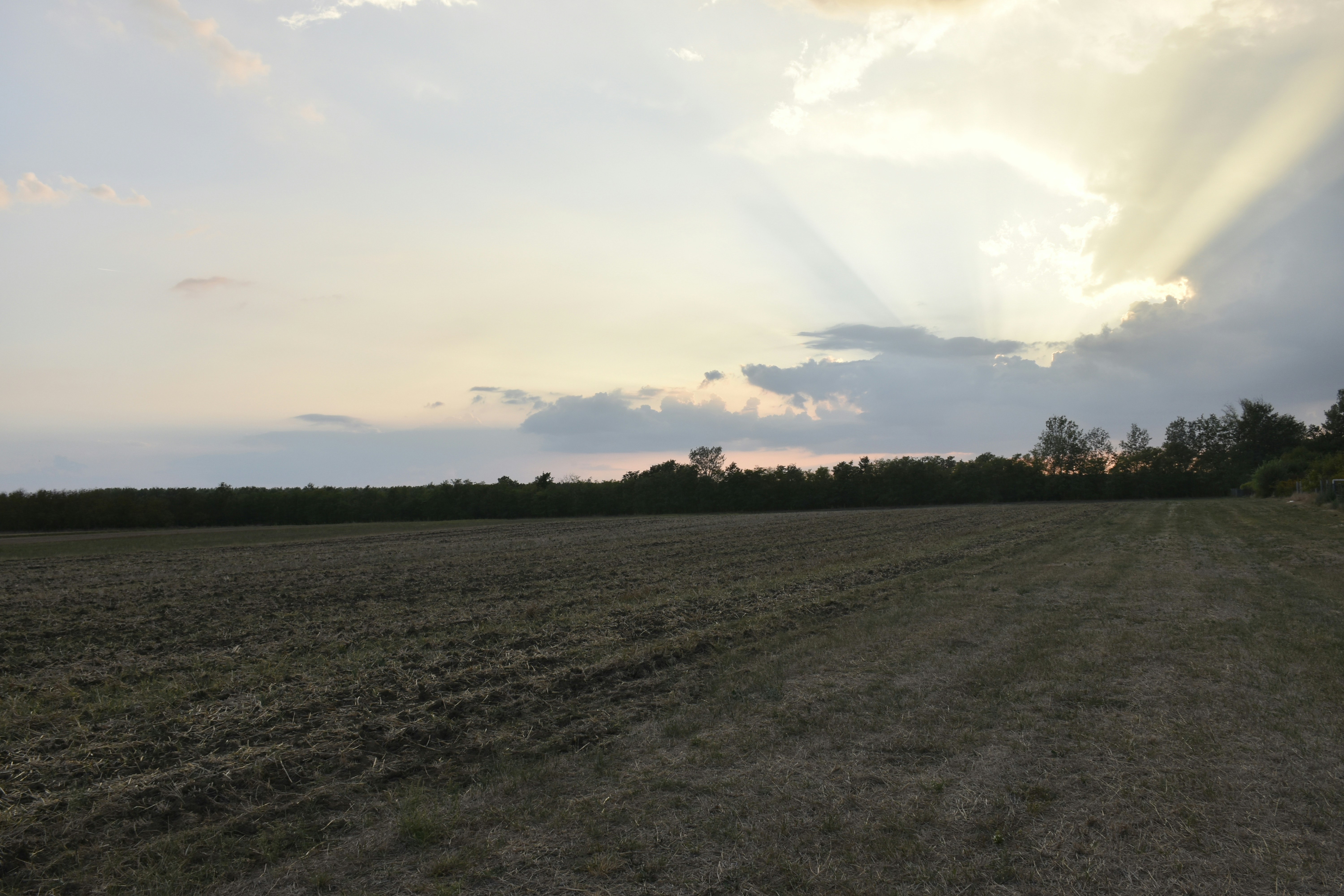 Photo by znphotogarphy