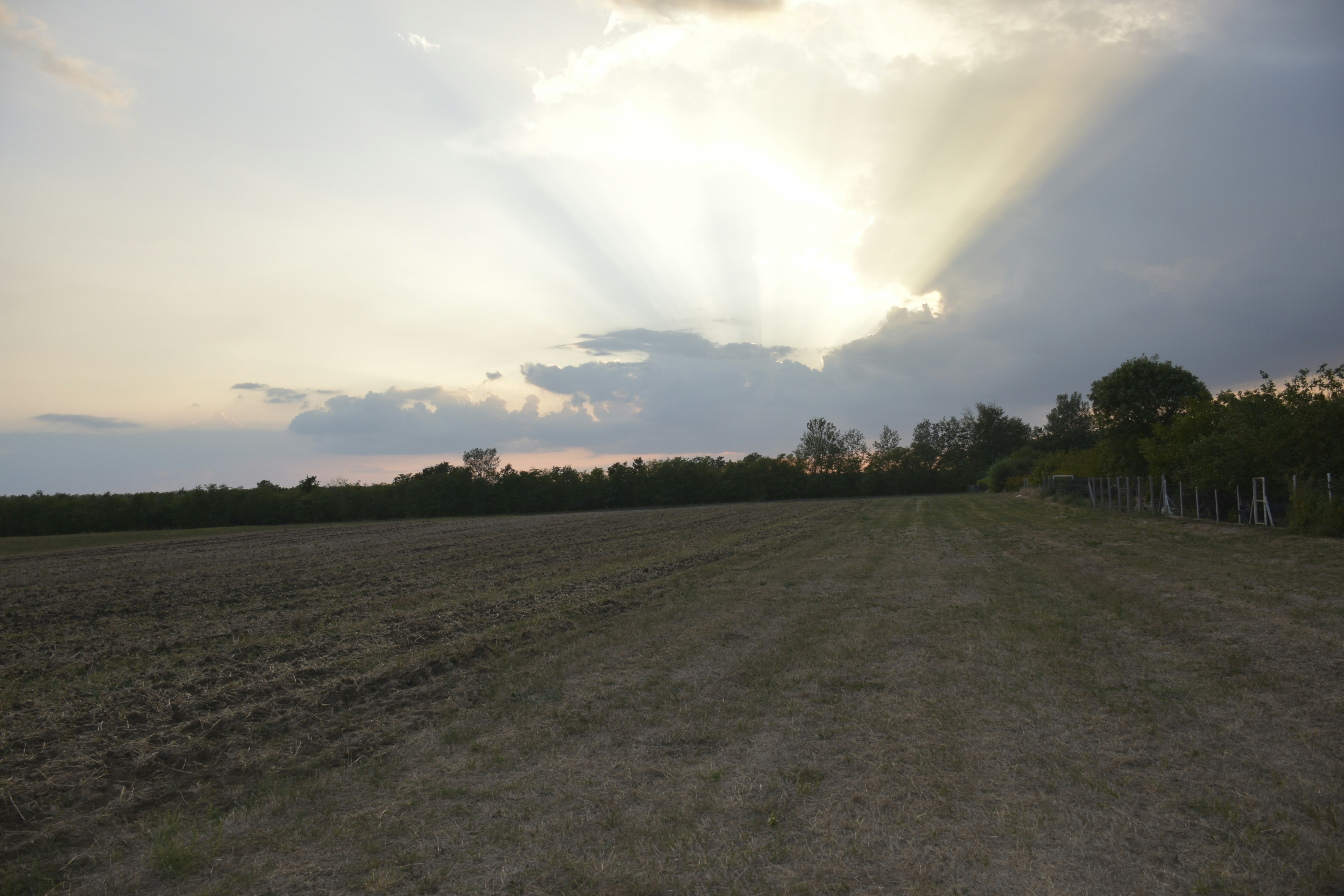 Photo by znphotogarphy