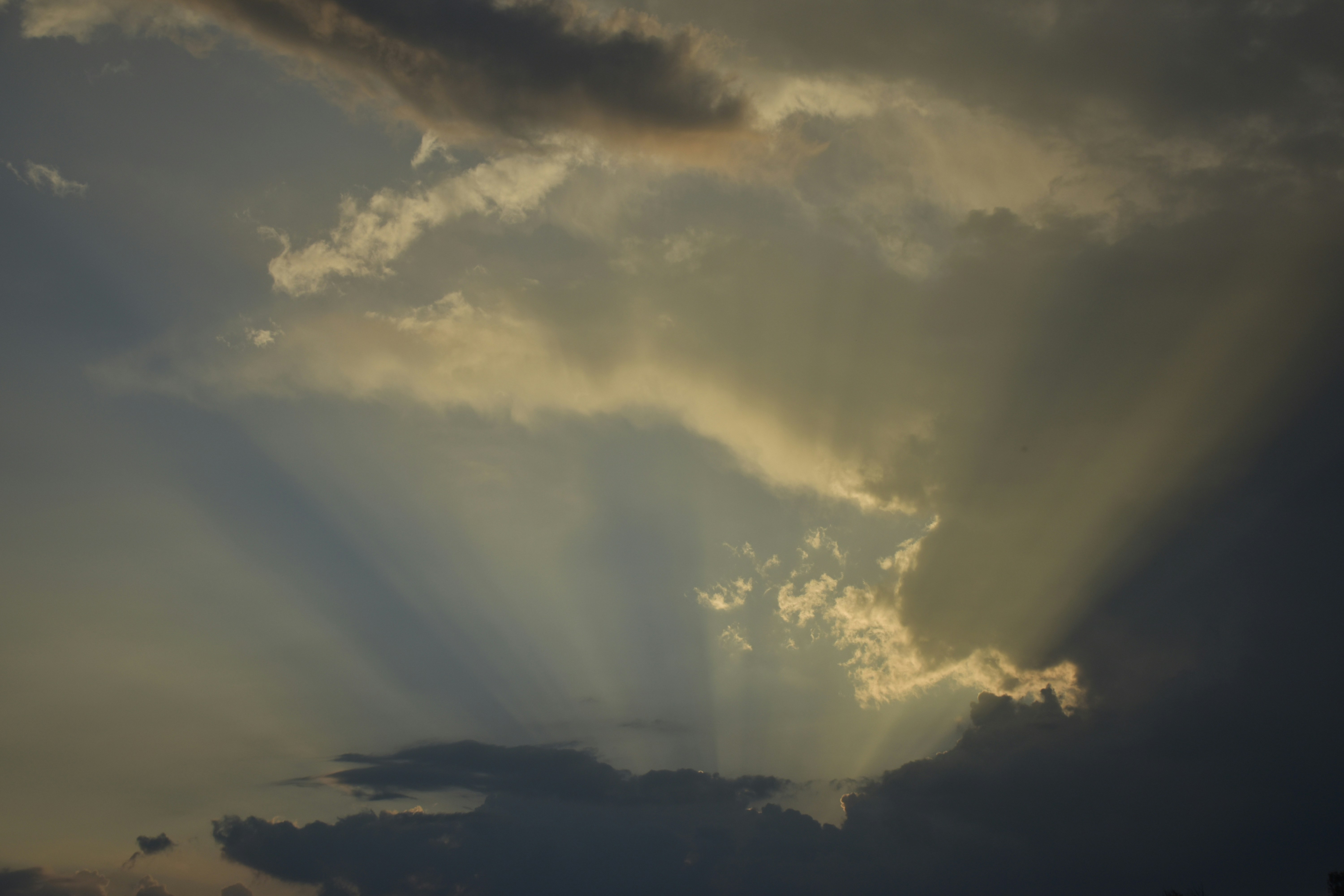 Photo by znphotogarphy