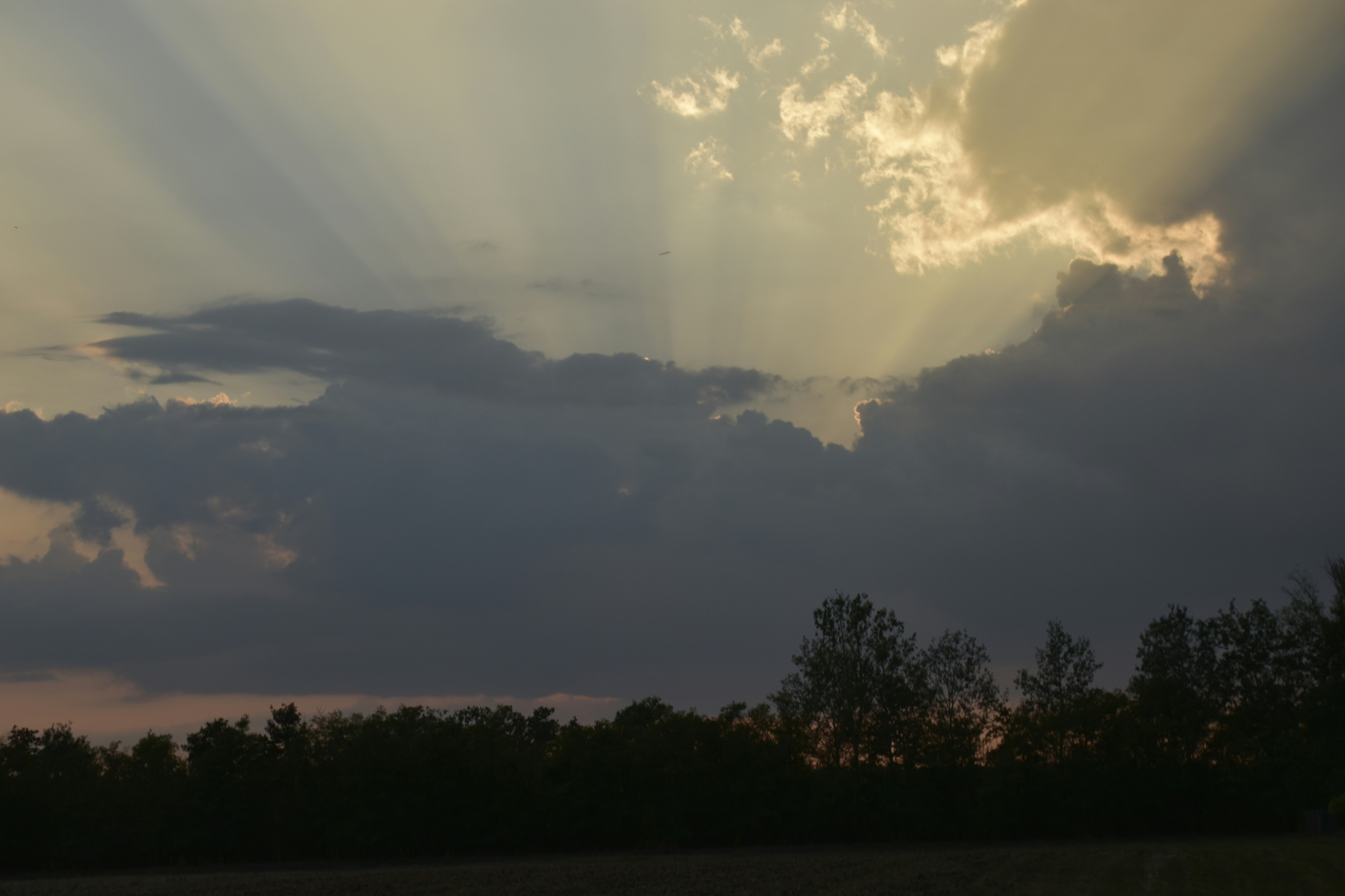 Photo by znphotogarphy