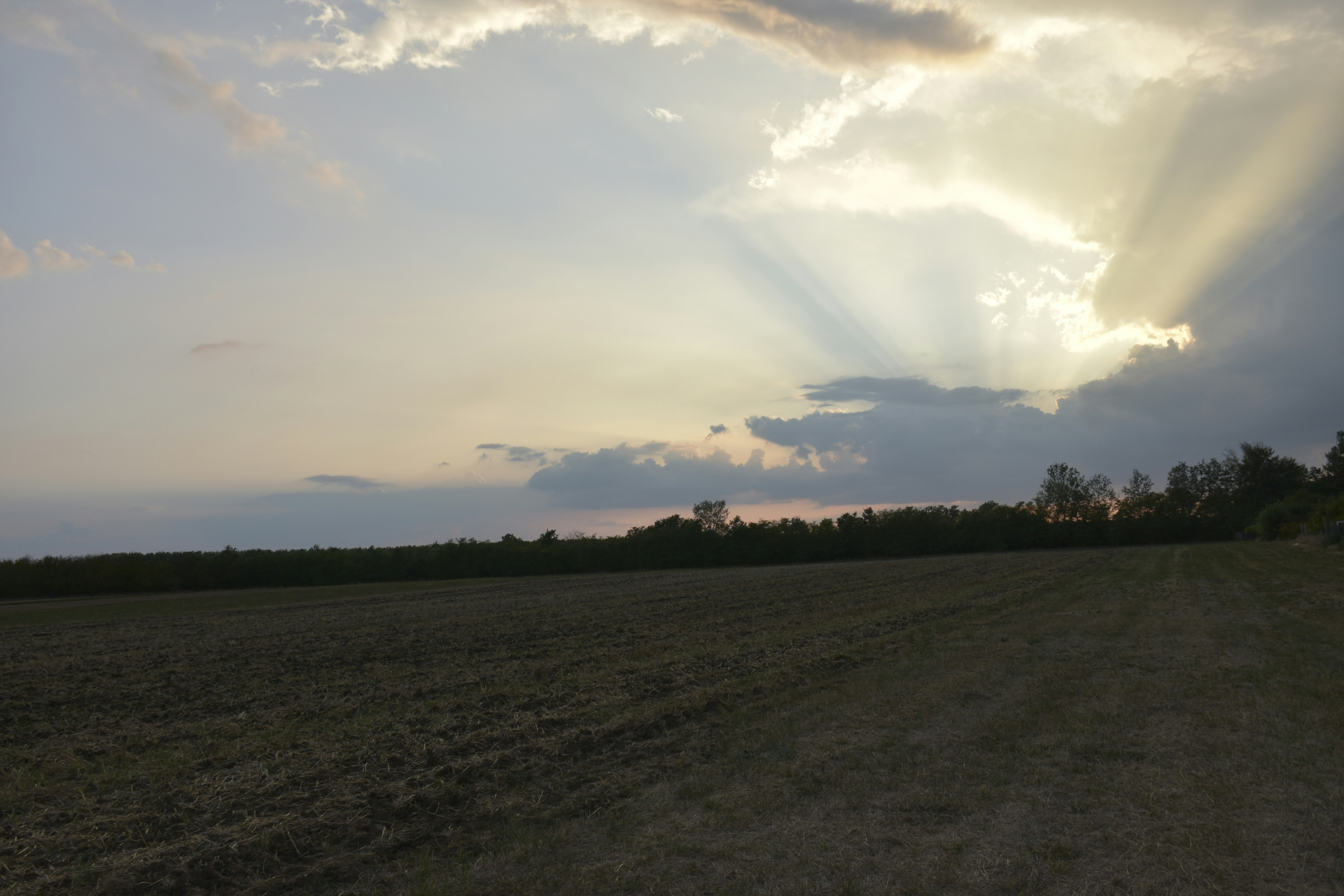 Photo by znphotogarphy