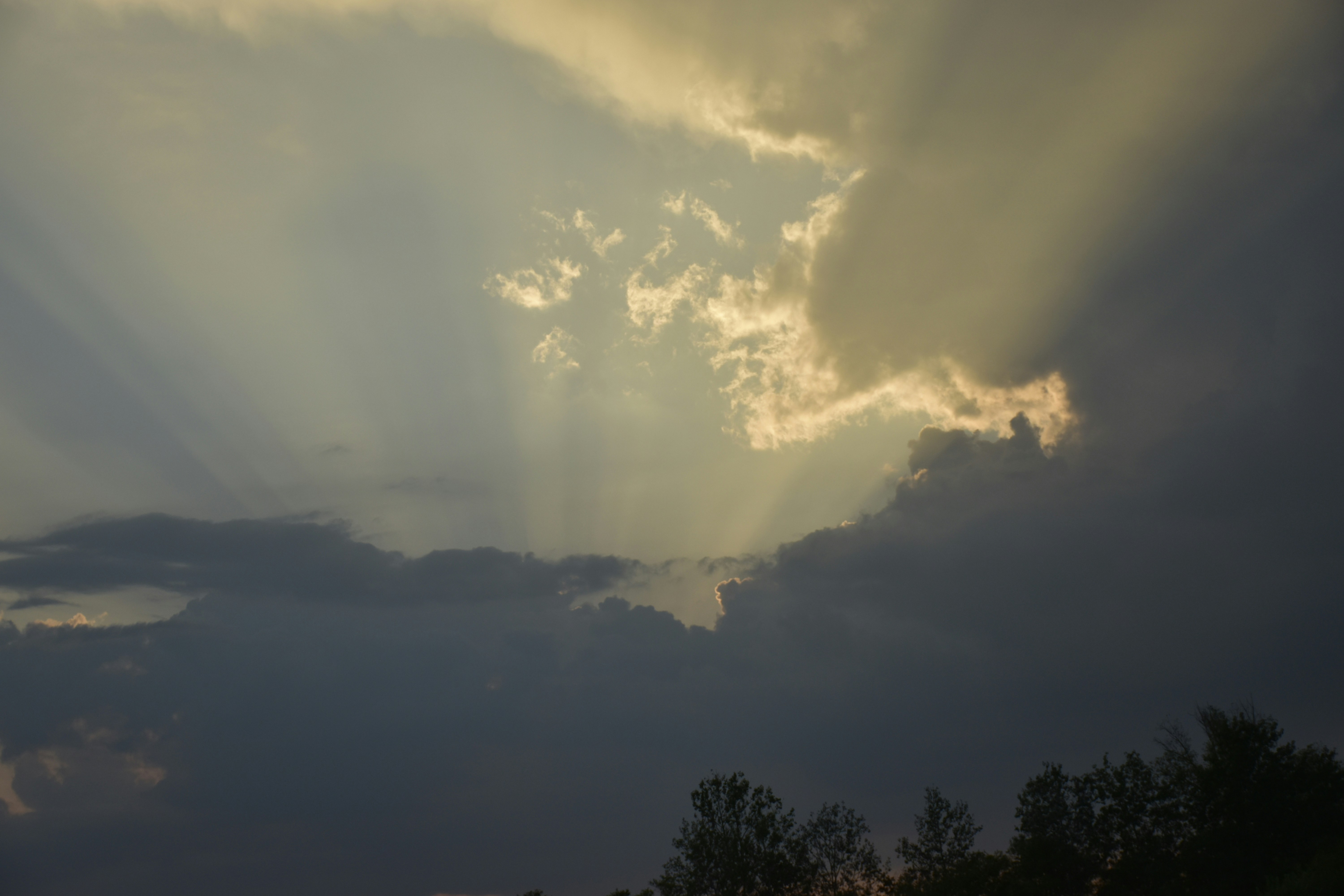 Photo by znphotogarphy