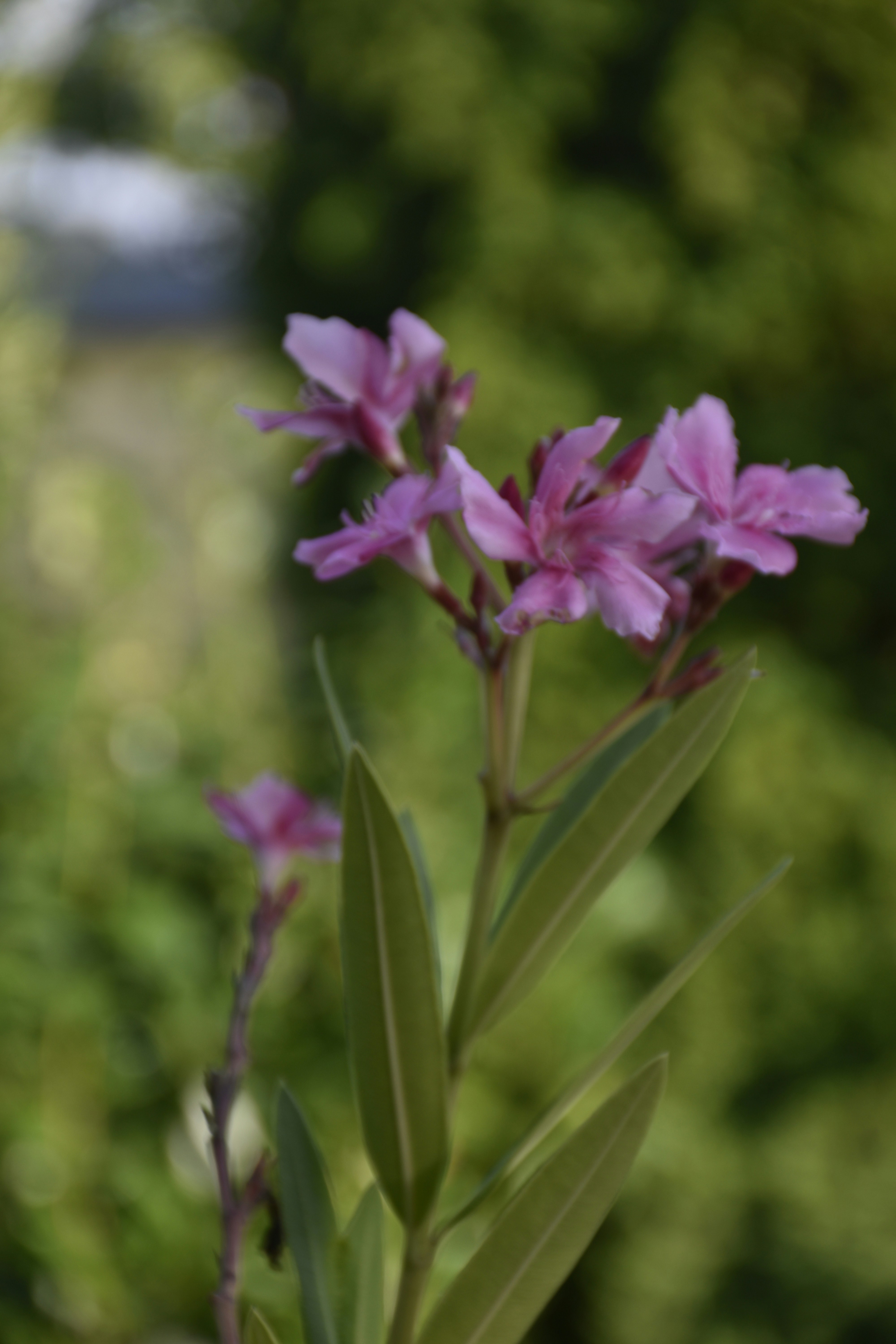 Photo by znphotogarphy