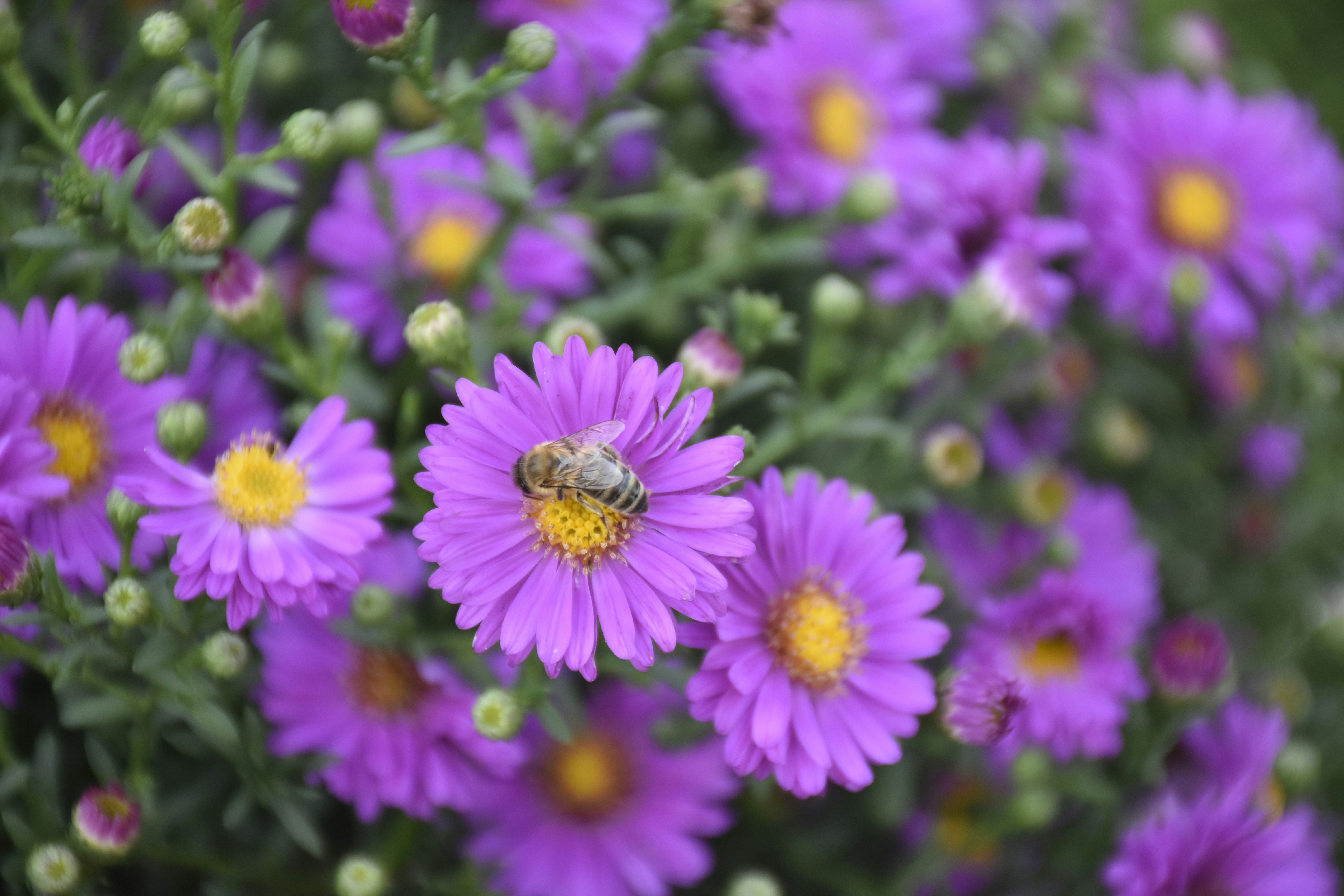 Photo by znphotogarphy