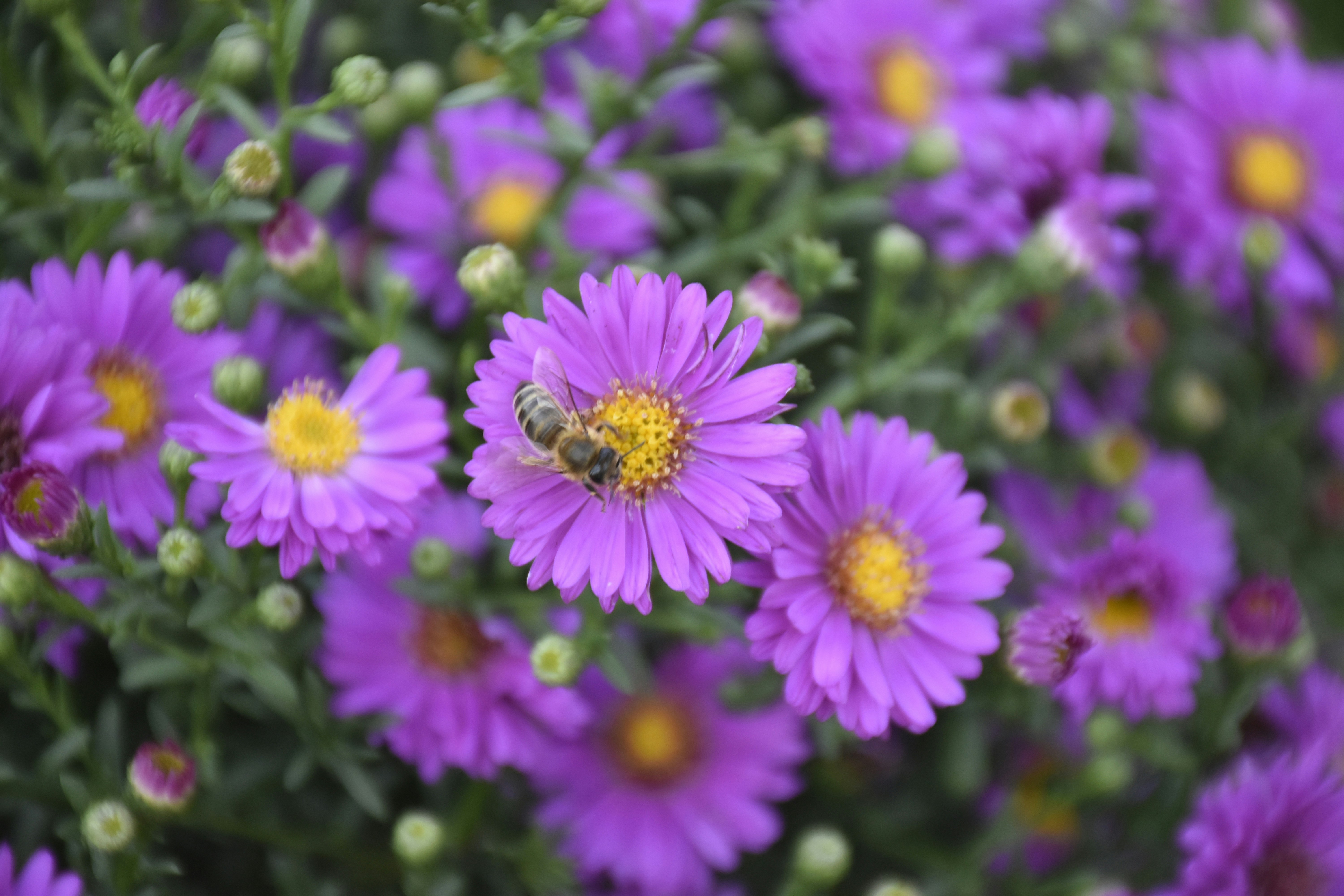 Photo by znphotogarphy