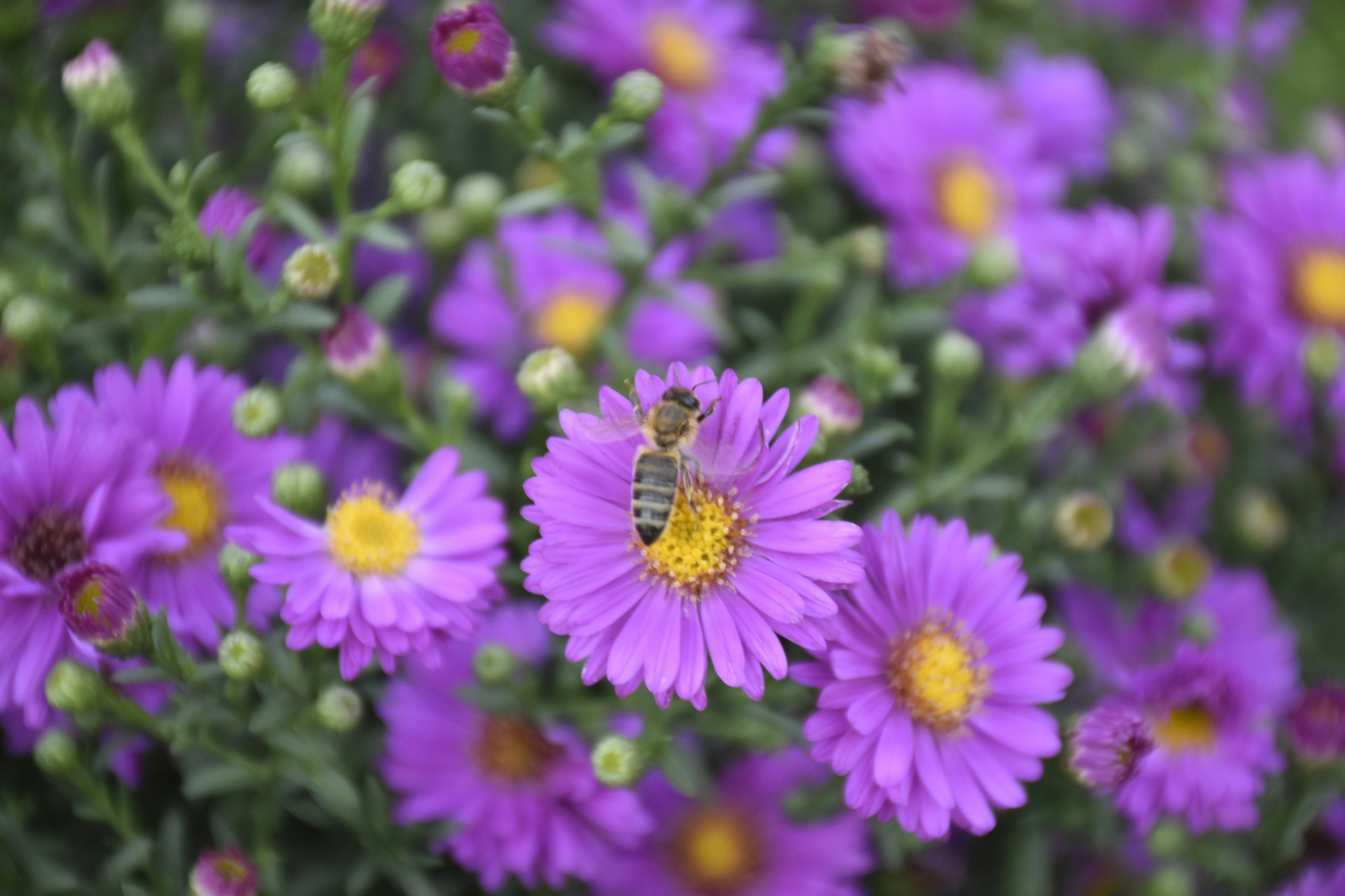 Photo by znphotogarphy