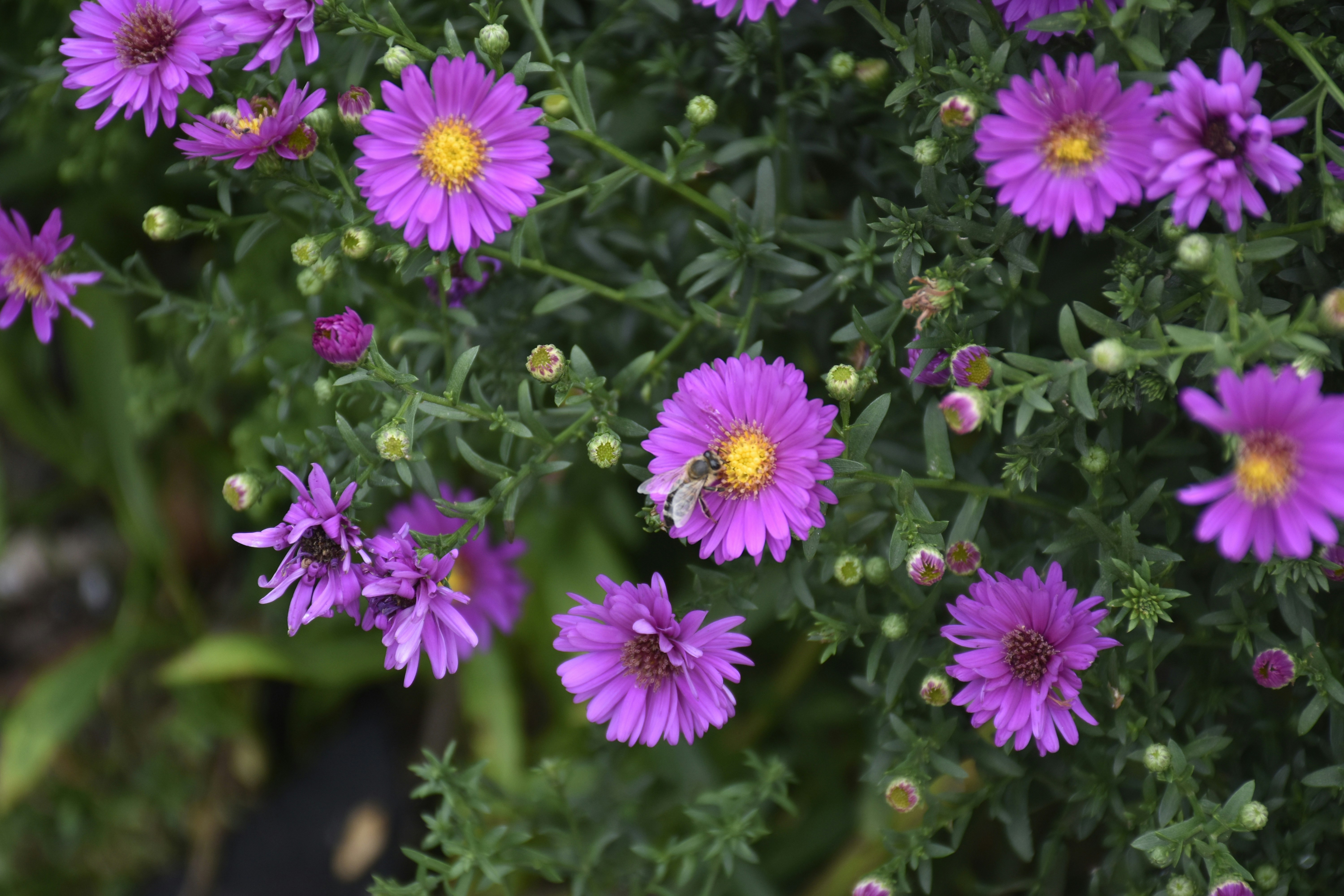 Photo by znphotogarphy