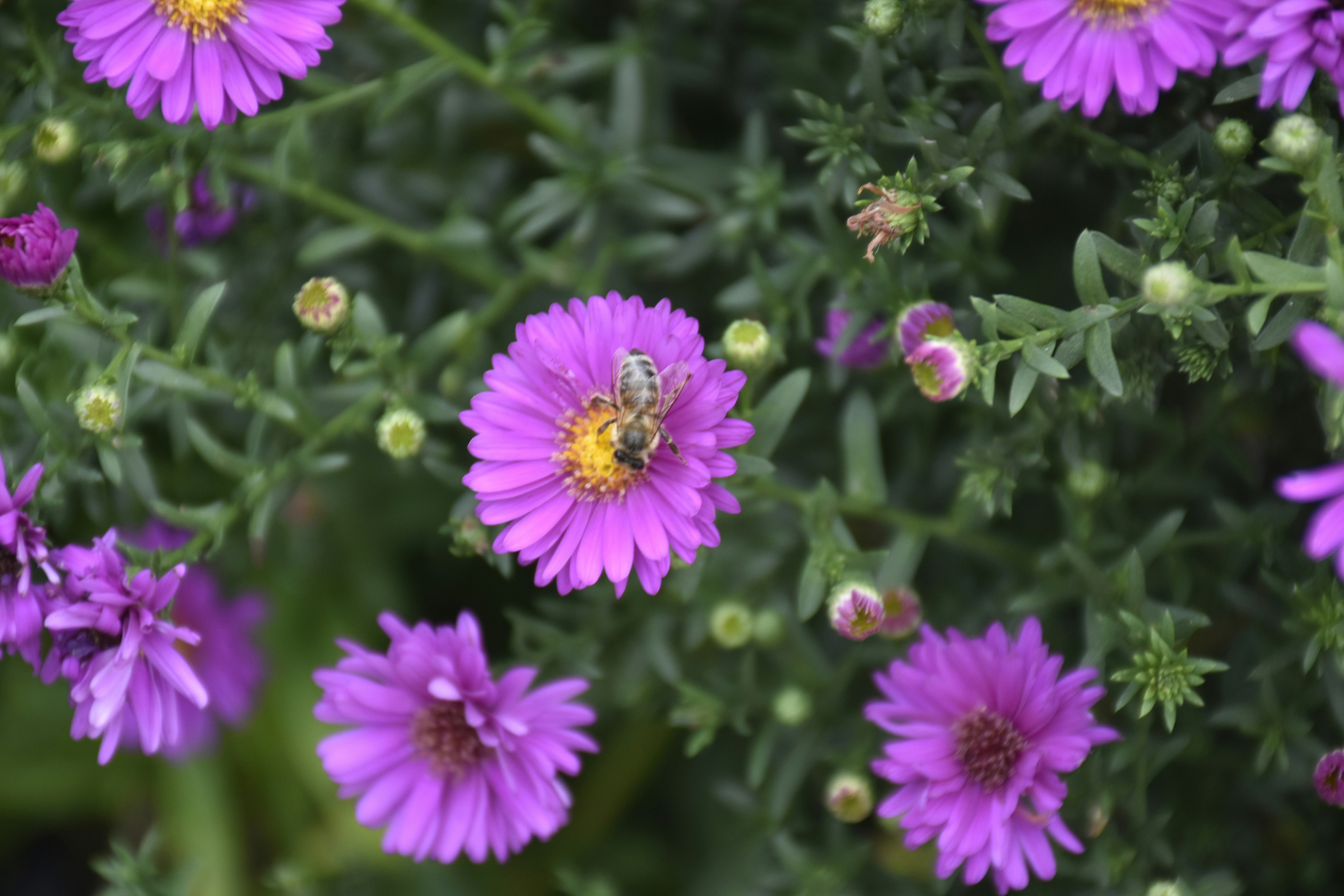 Photo by znphotogarphy