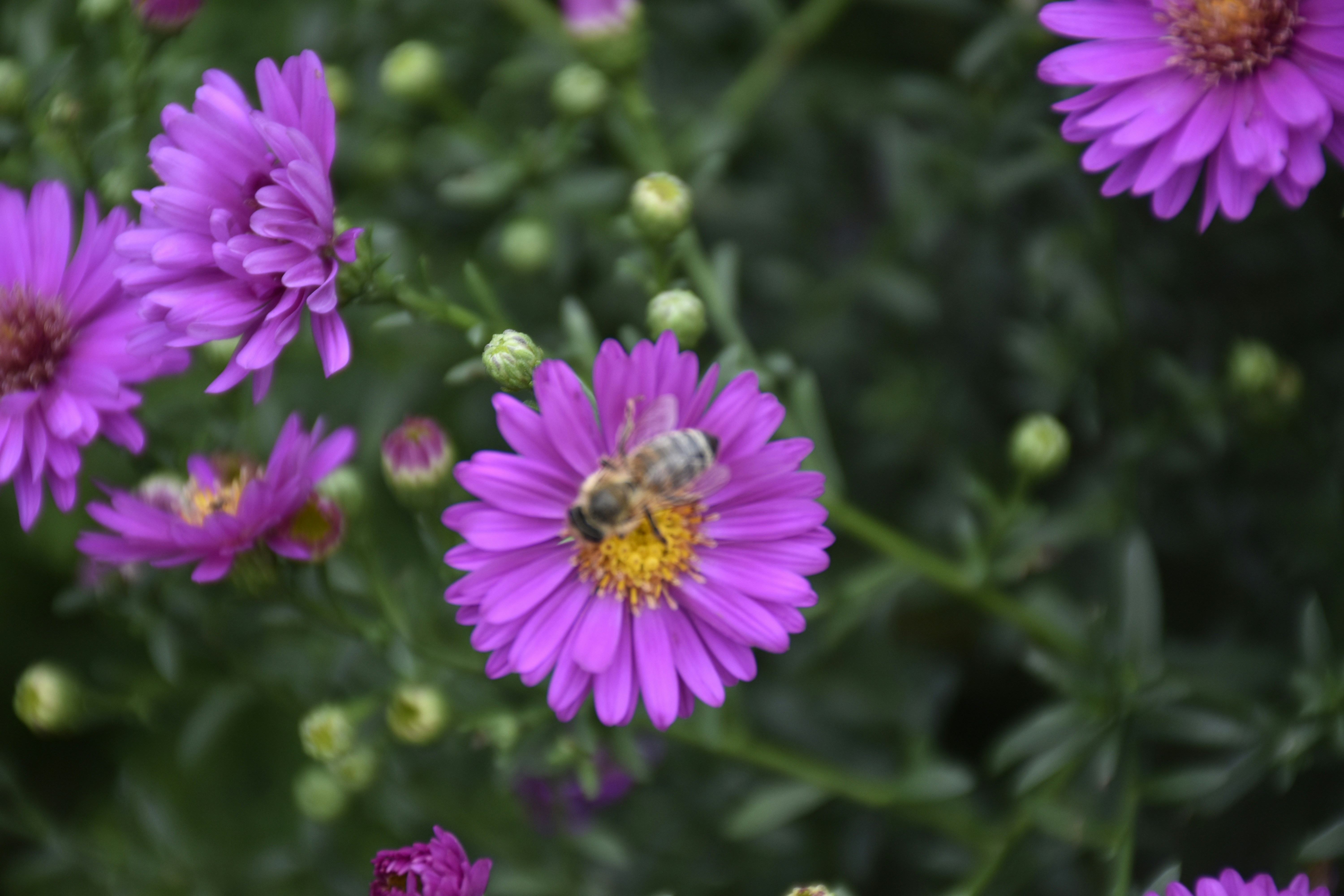 Photo by znphotogarphy