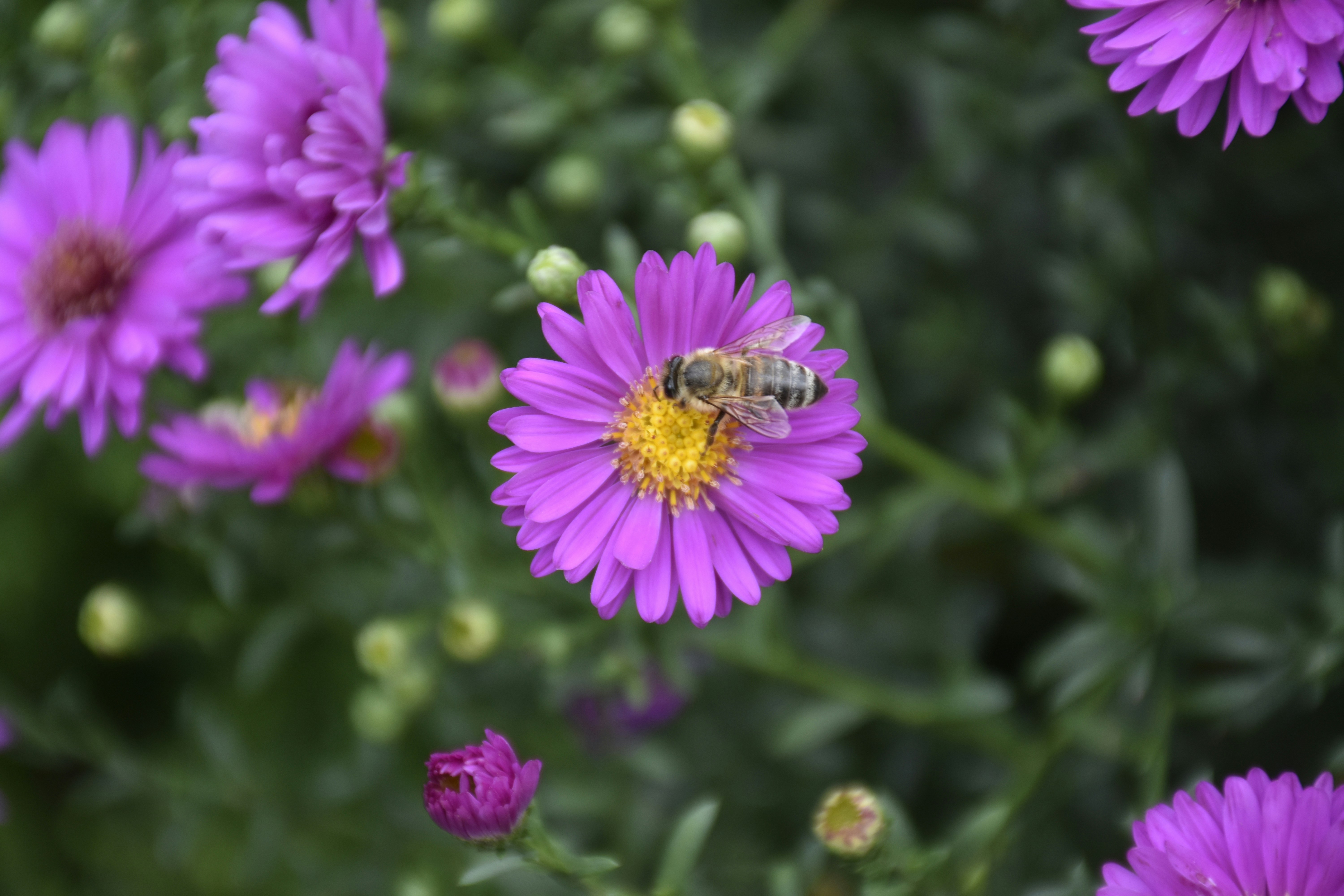 Photo by znphotogarphy