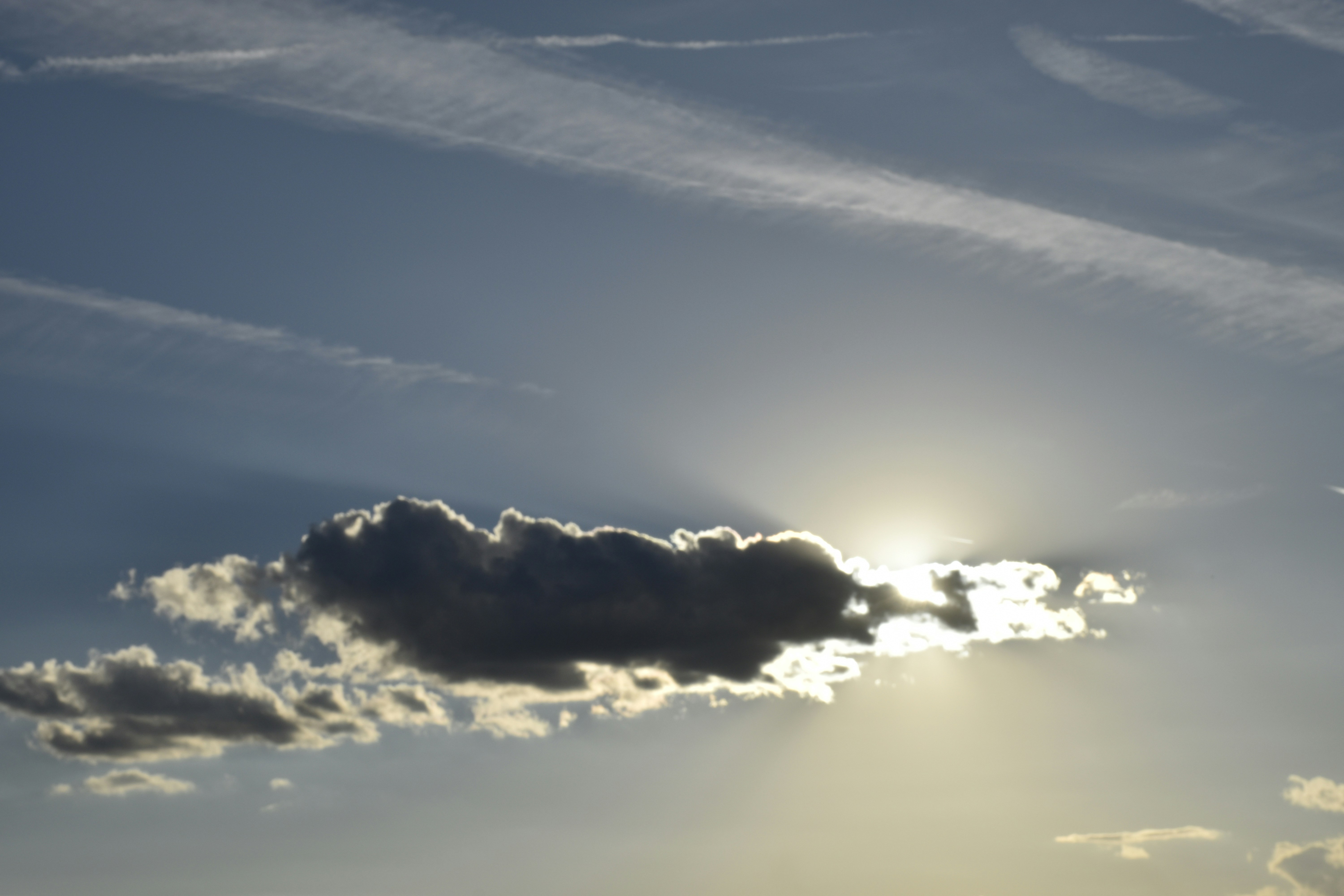 Photo by znphotogarphy