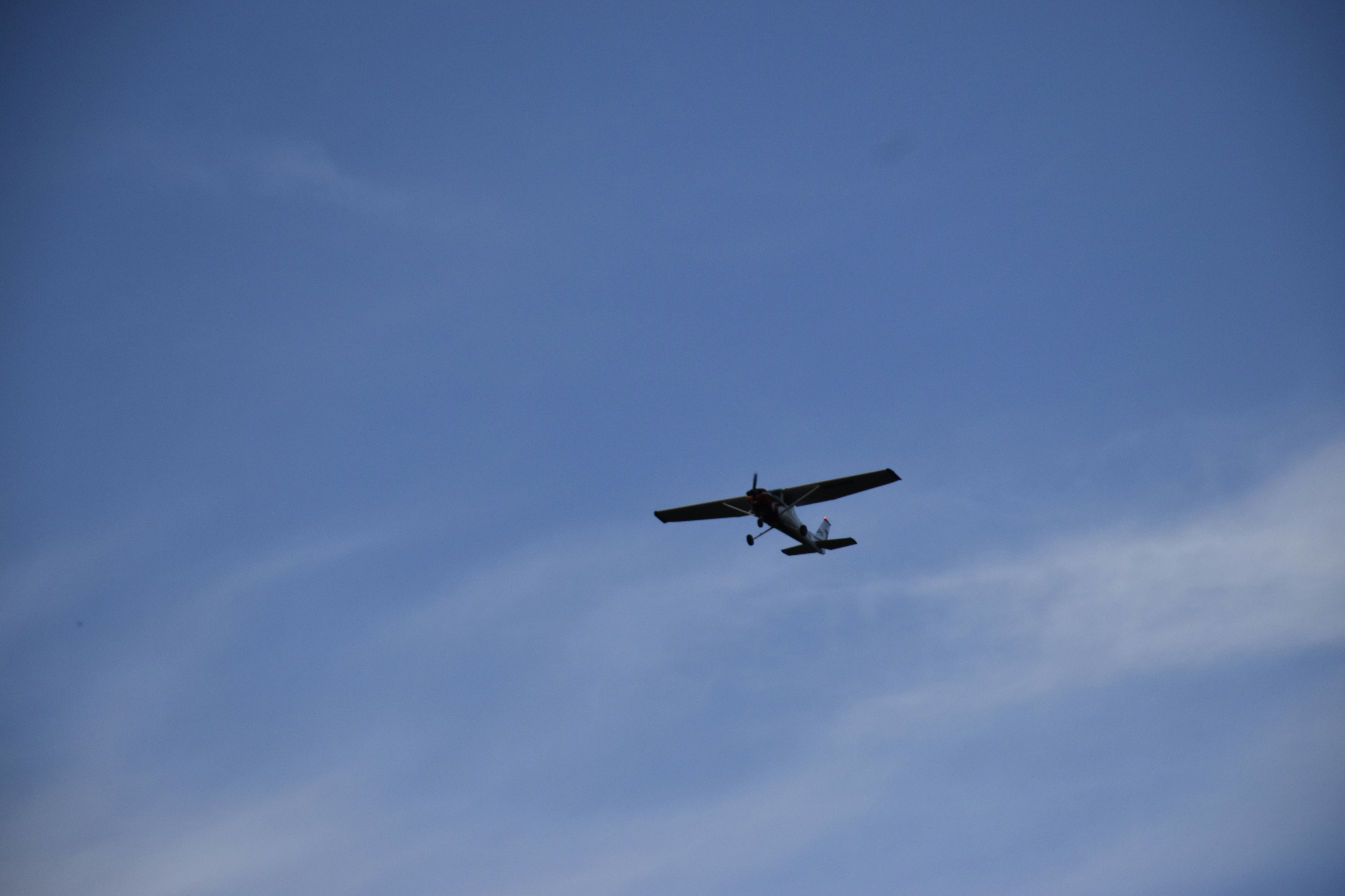 Photo by znphotogarphy