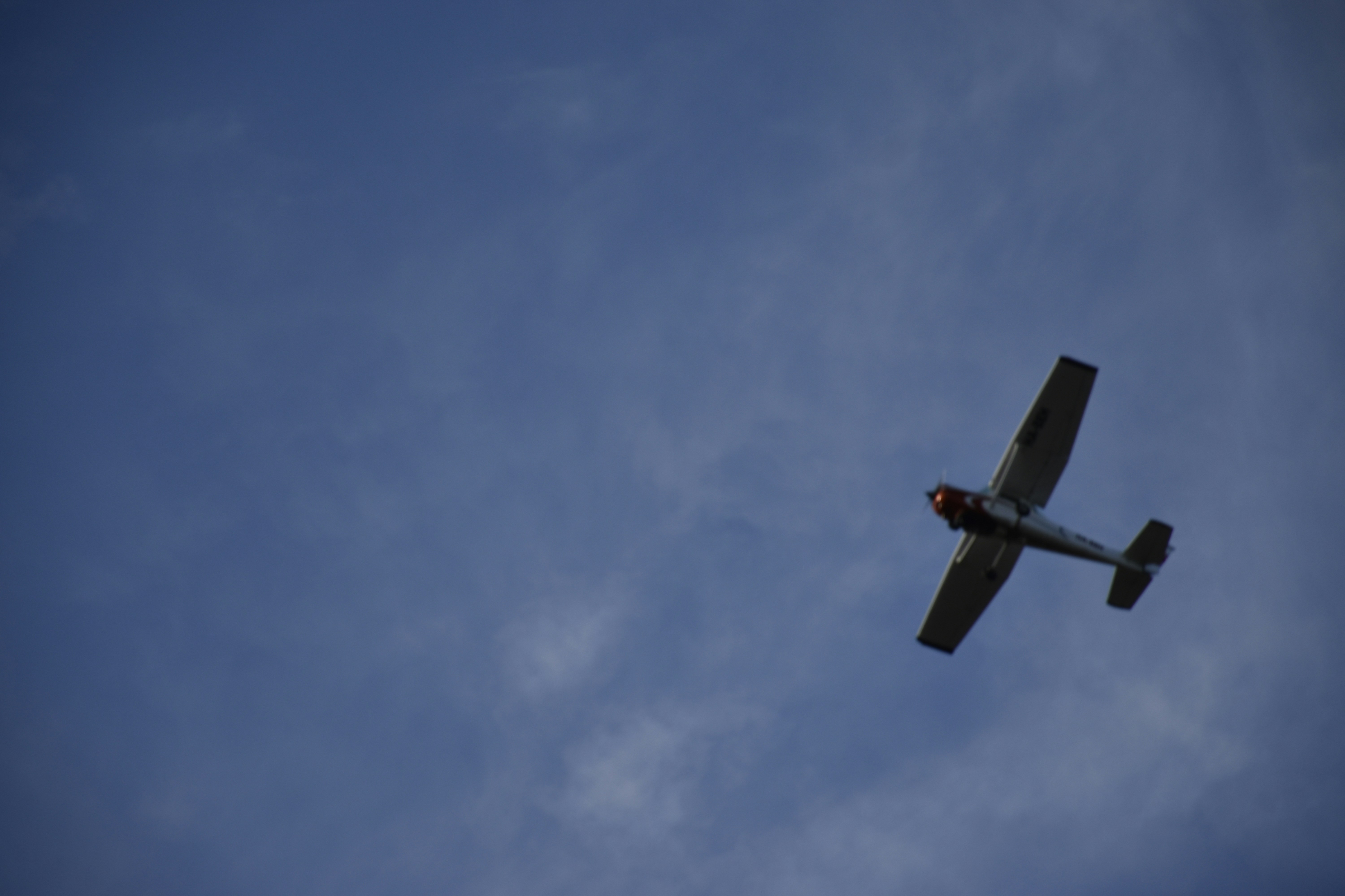 Photo by znphotogarphy