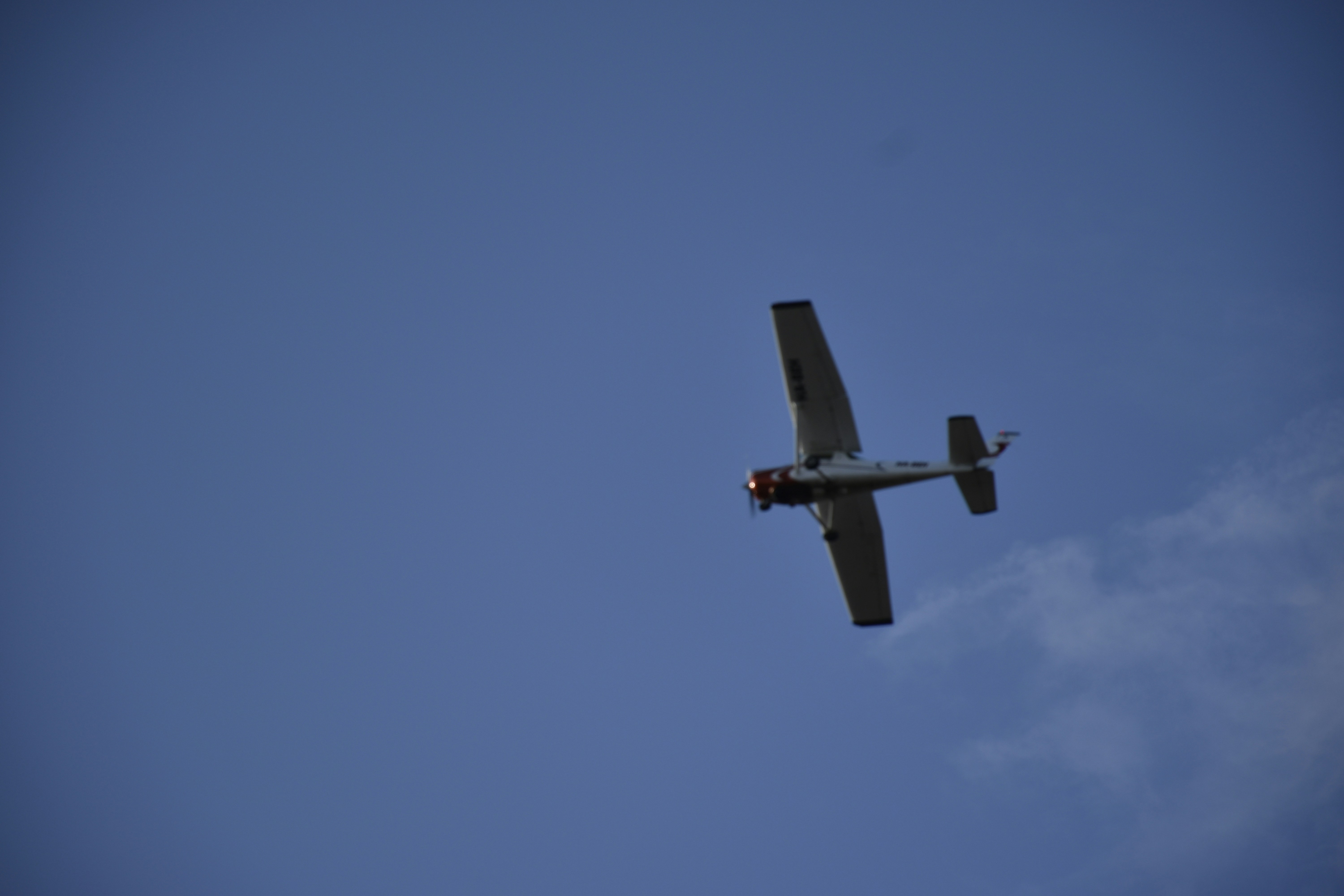 Photo by znphotogarphy