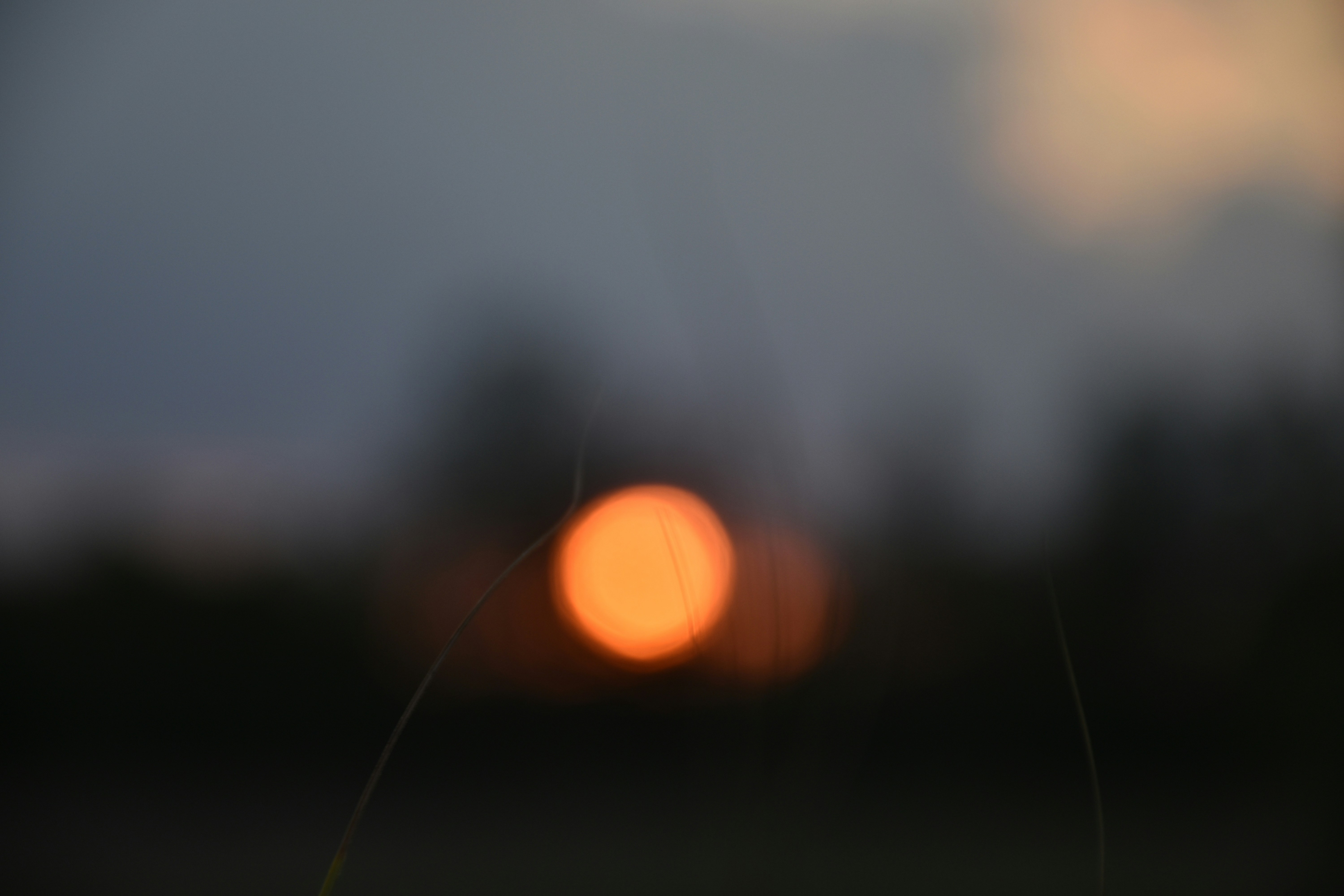 Photo by znphotogarphy