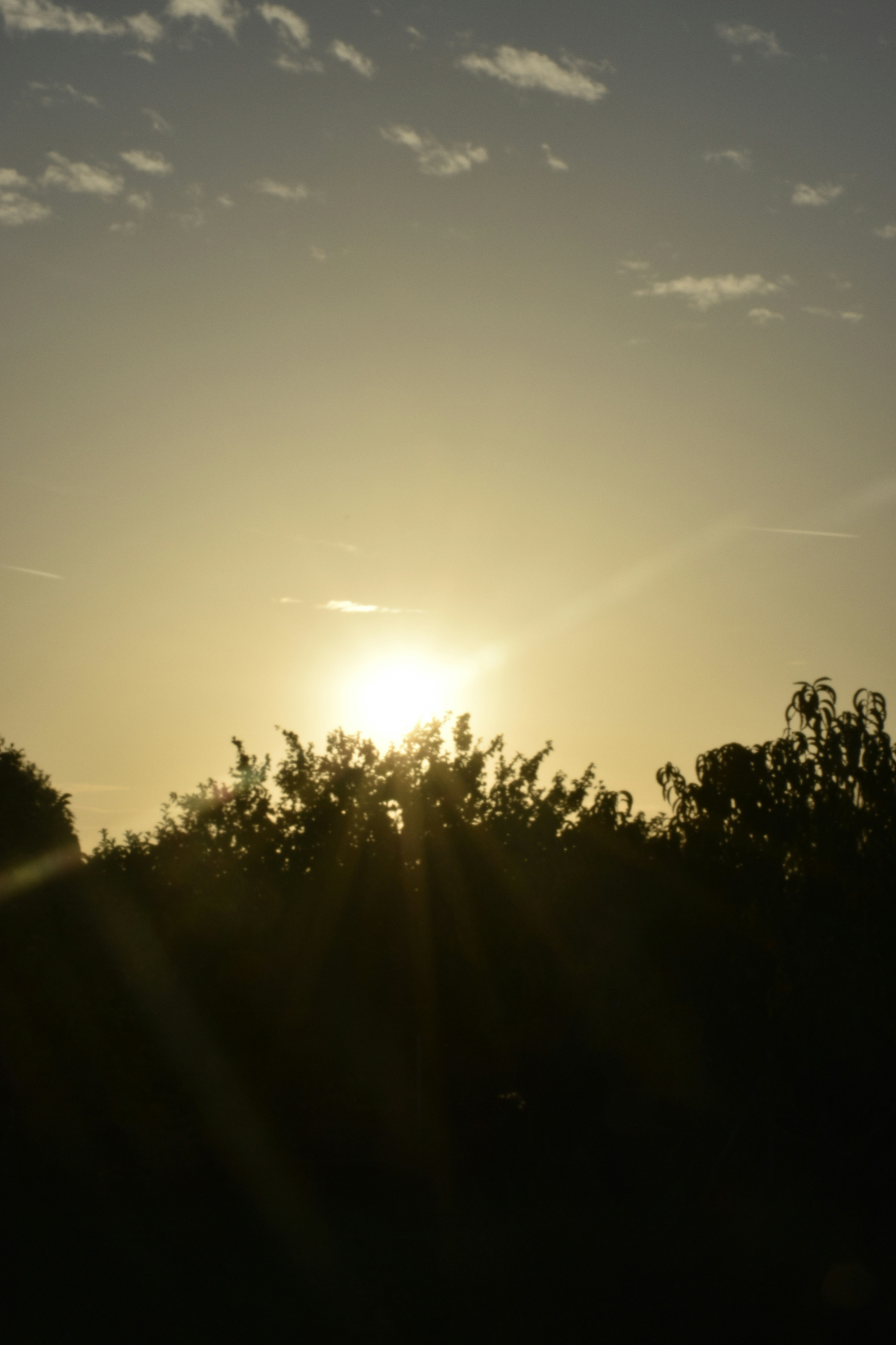 Photo by znphotogarphy