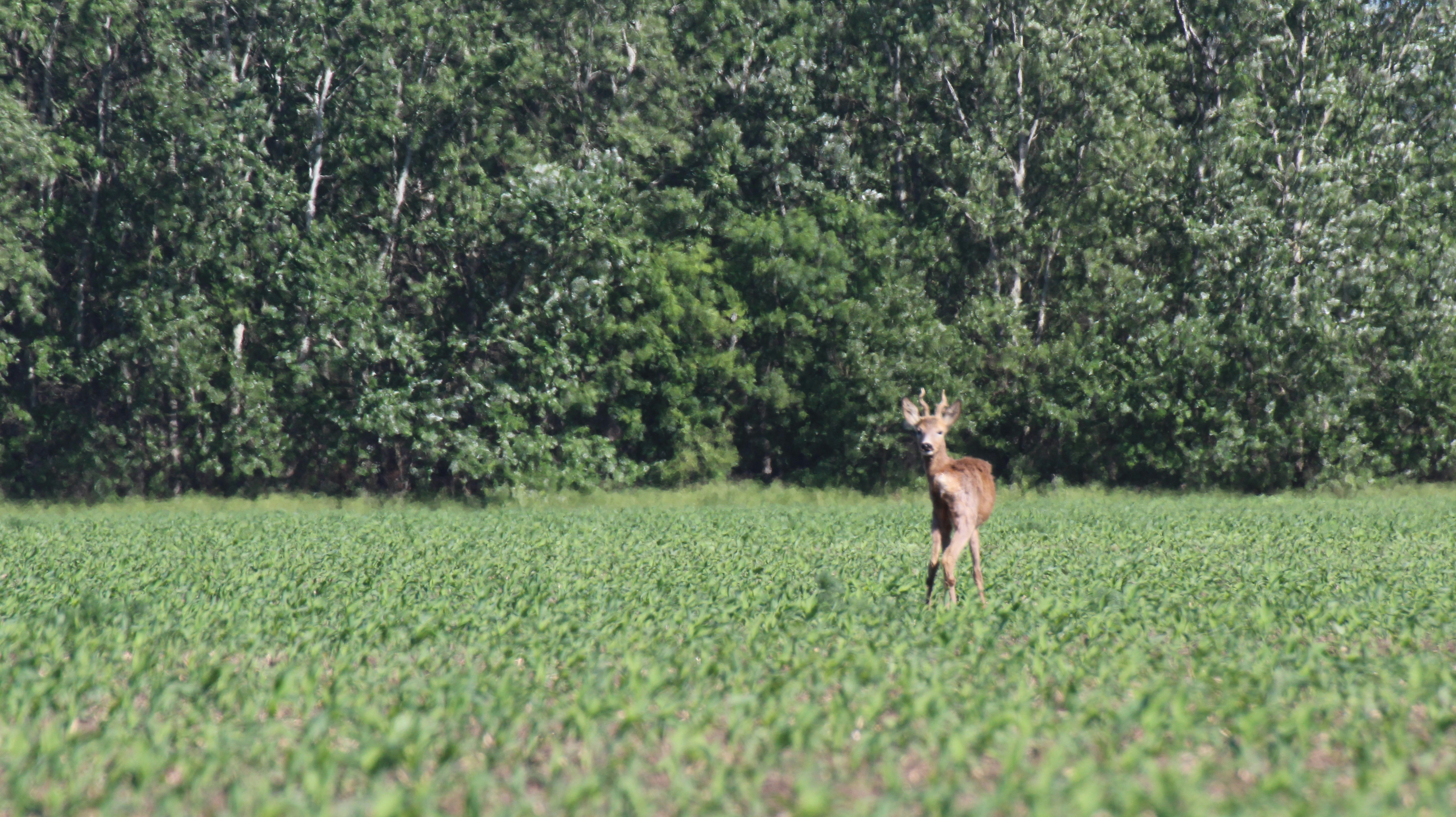 Photo by znphotogarphy
