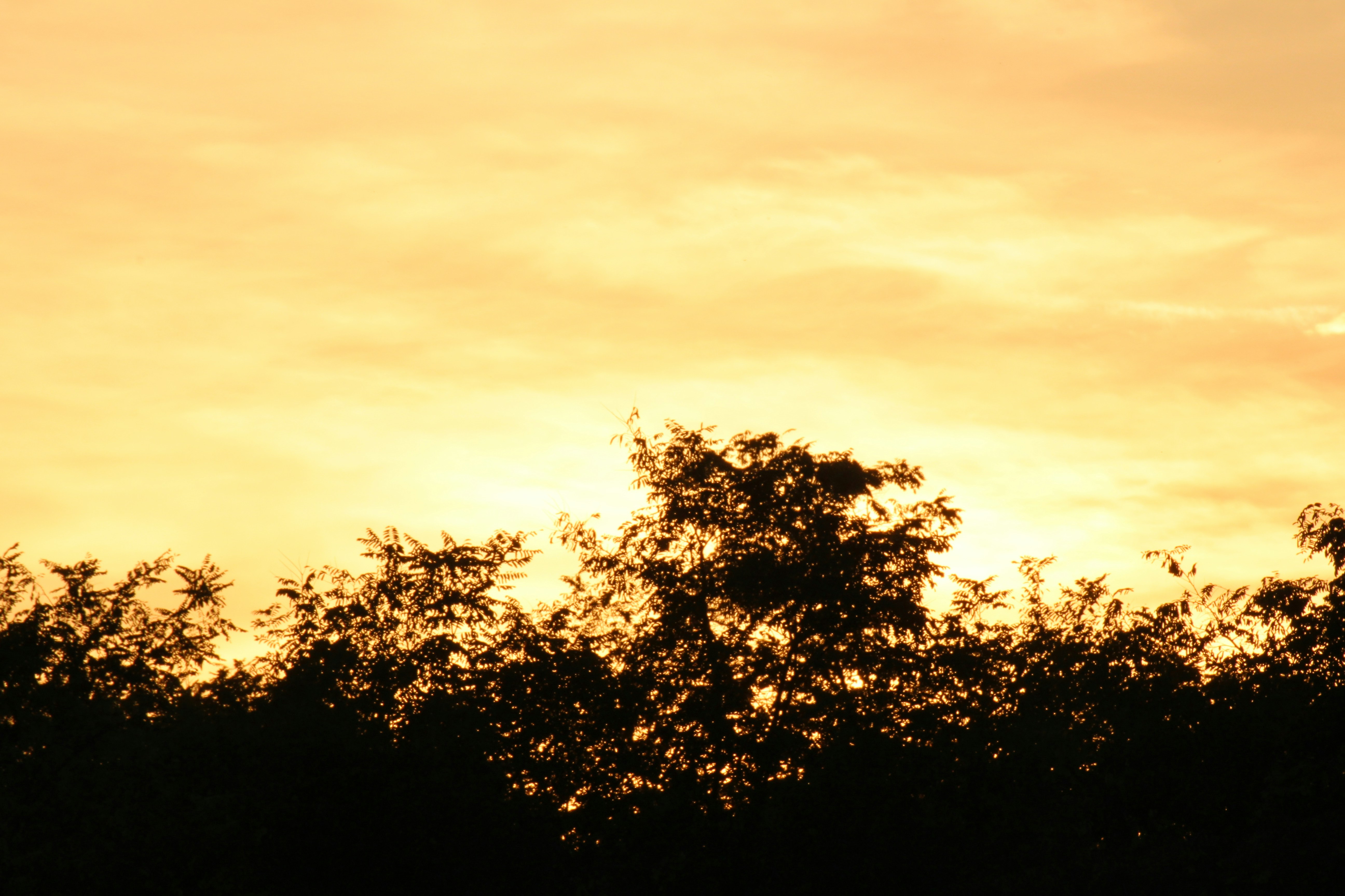 Photo by znphotogarphy