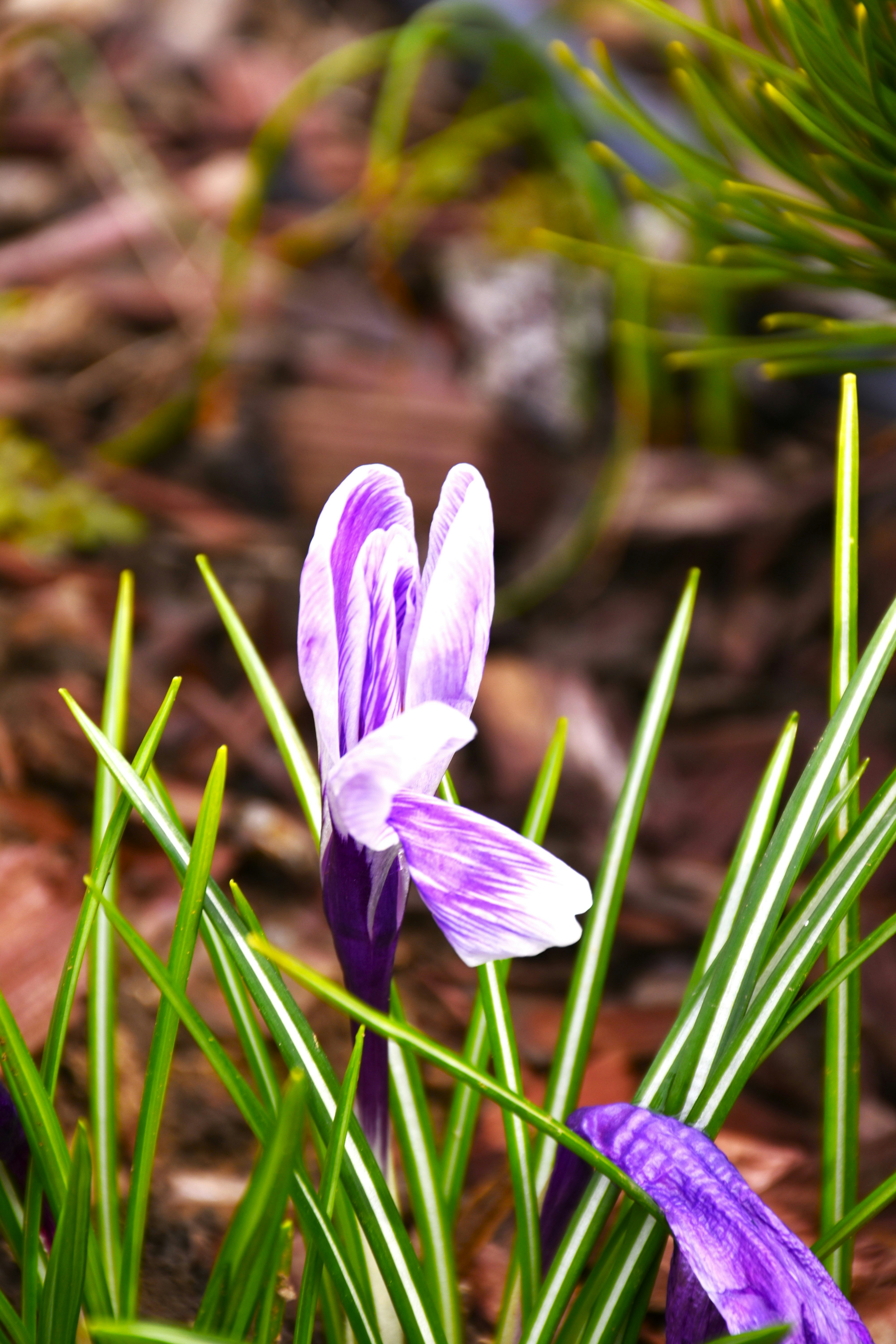 Photo by znphotogarphy