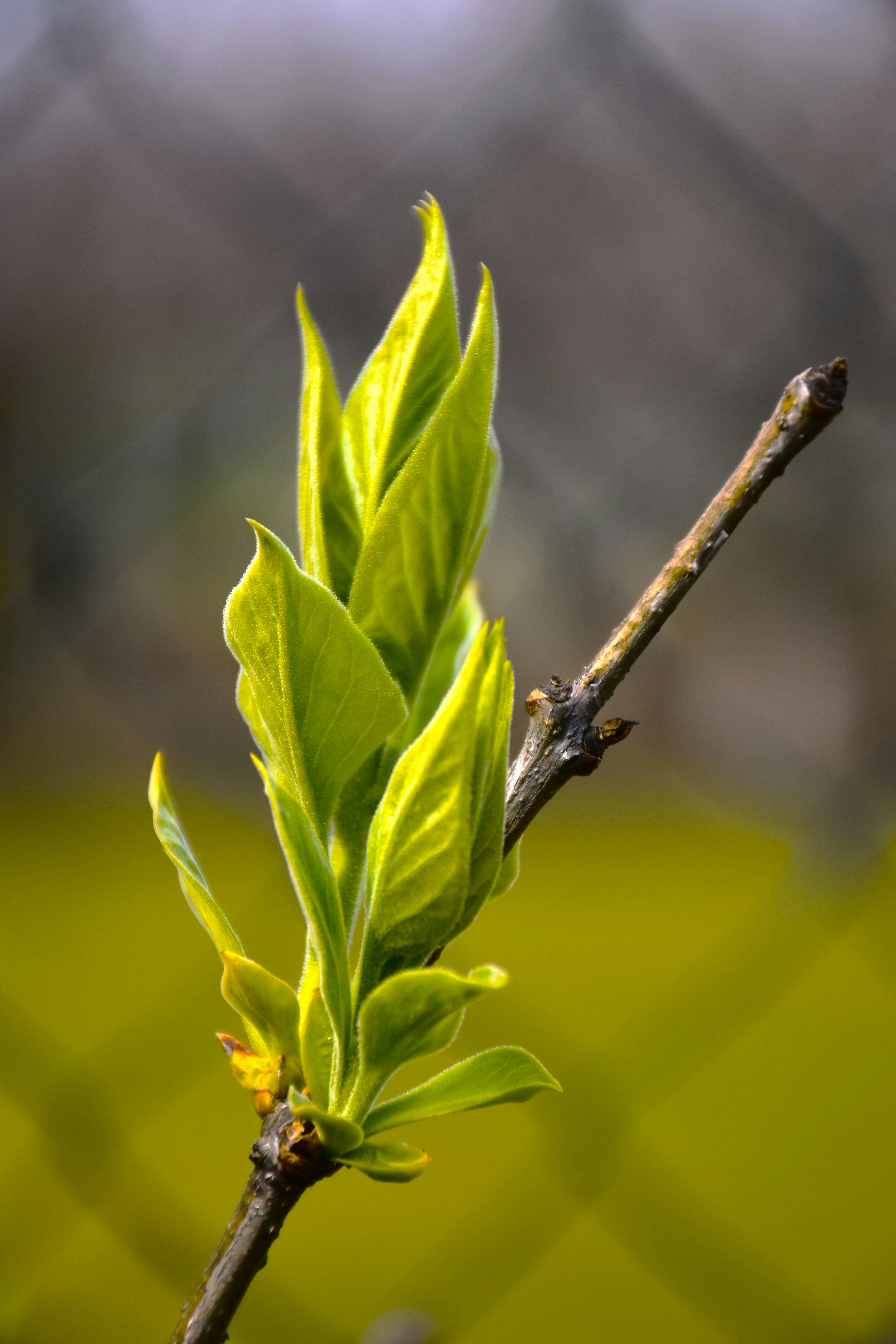 Photo by znphotogarphy