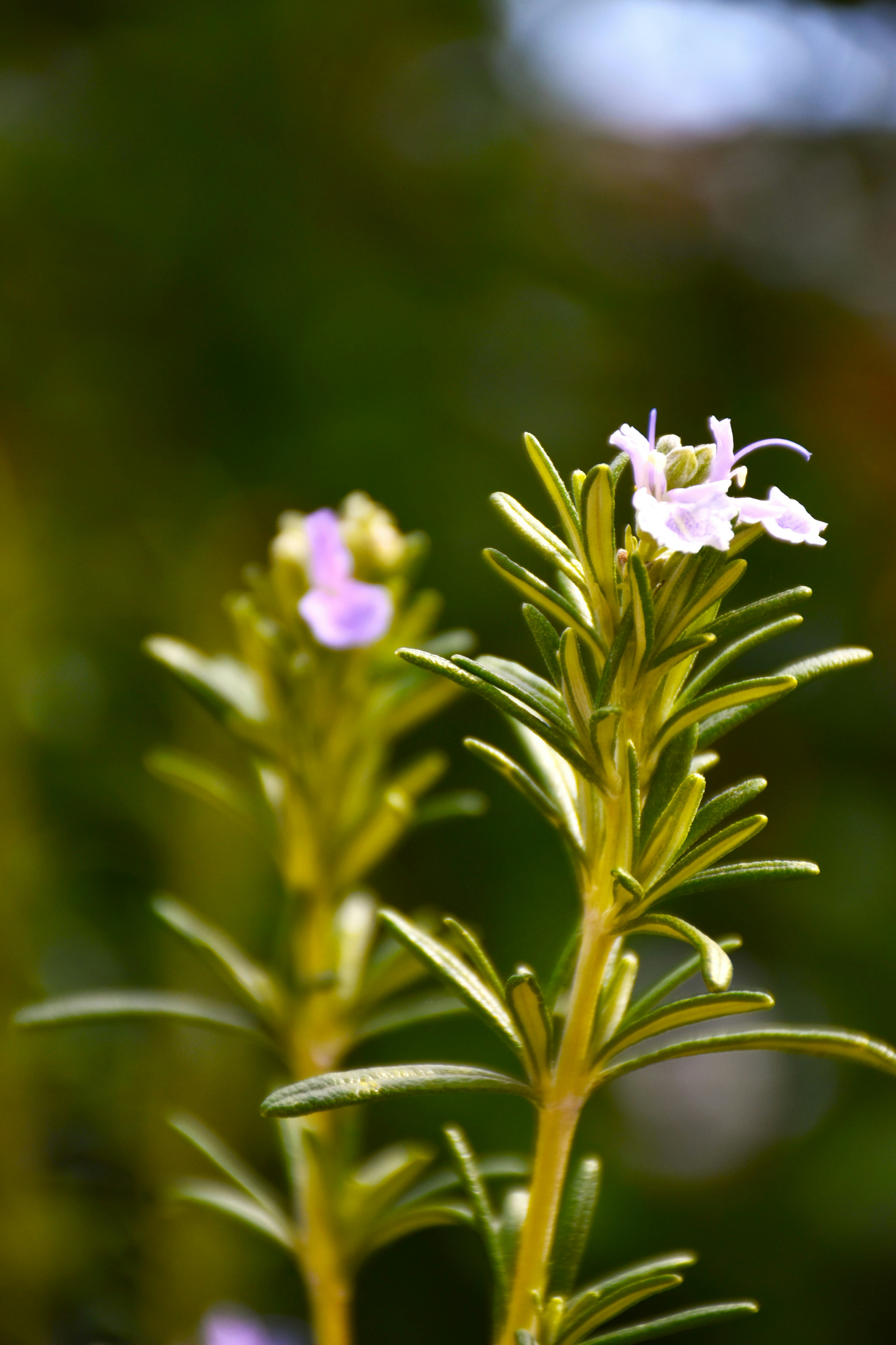 Photo by znphotogarphy