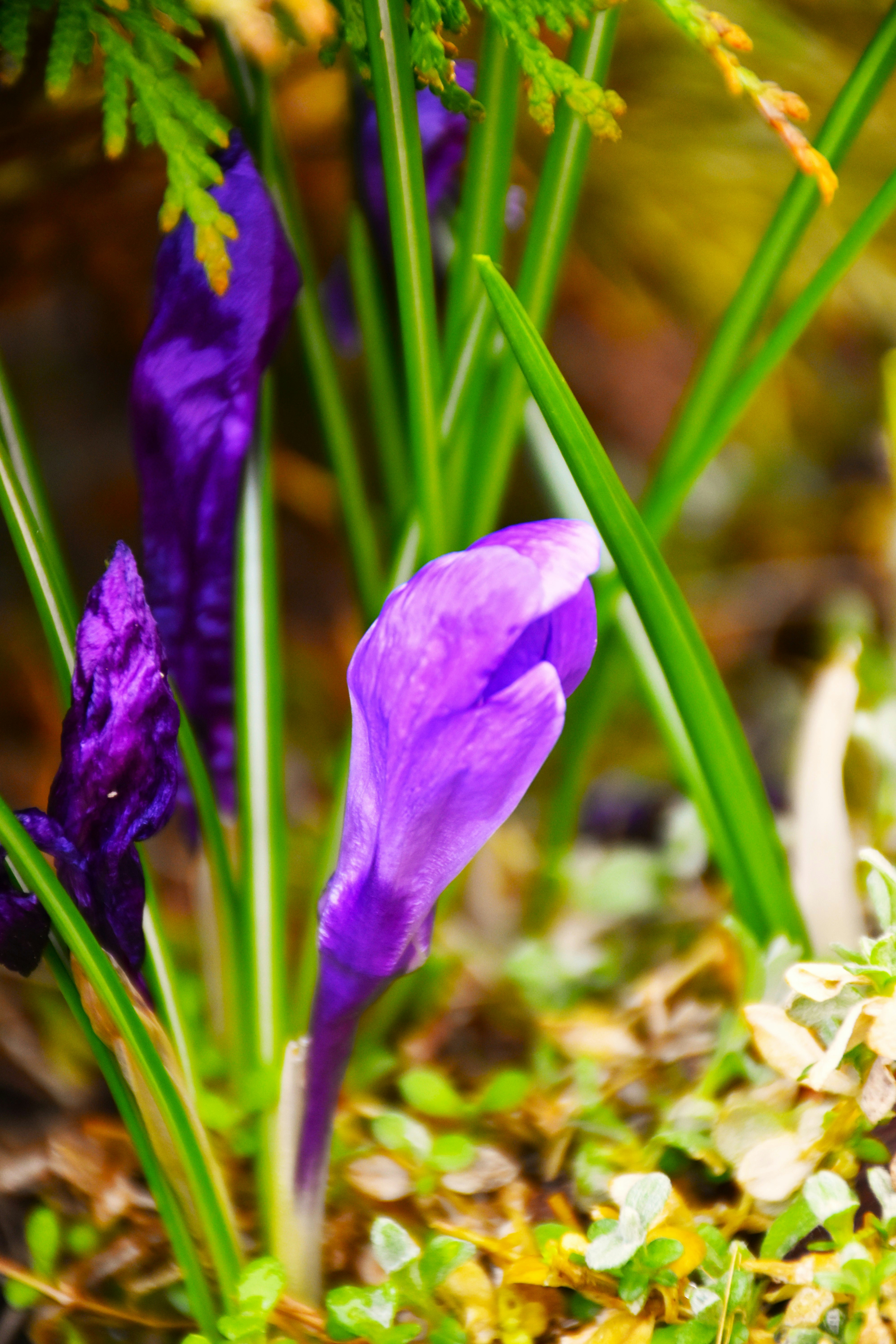 Photo by znphotogarphy