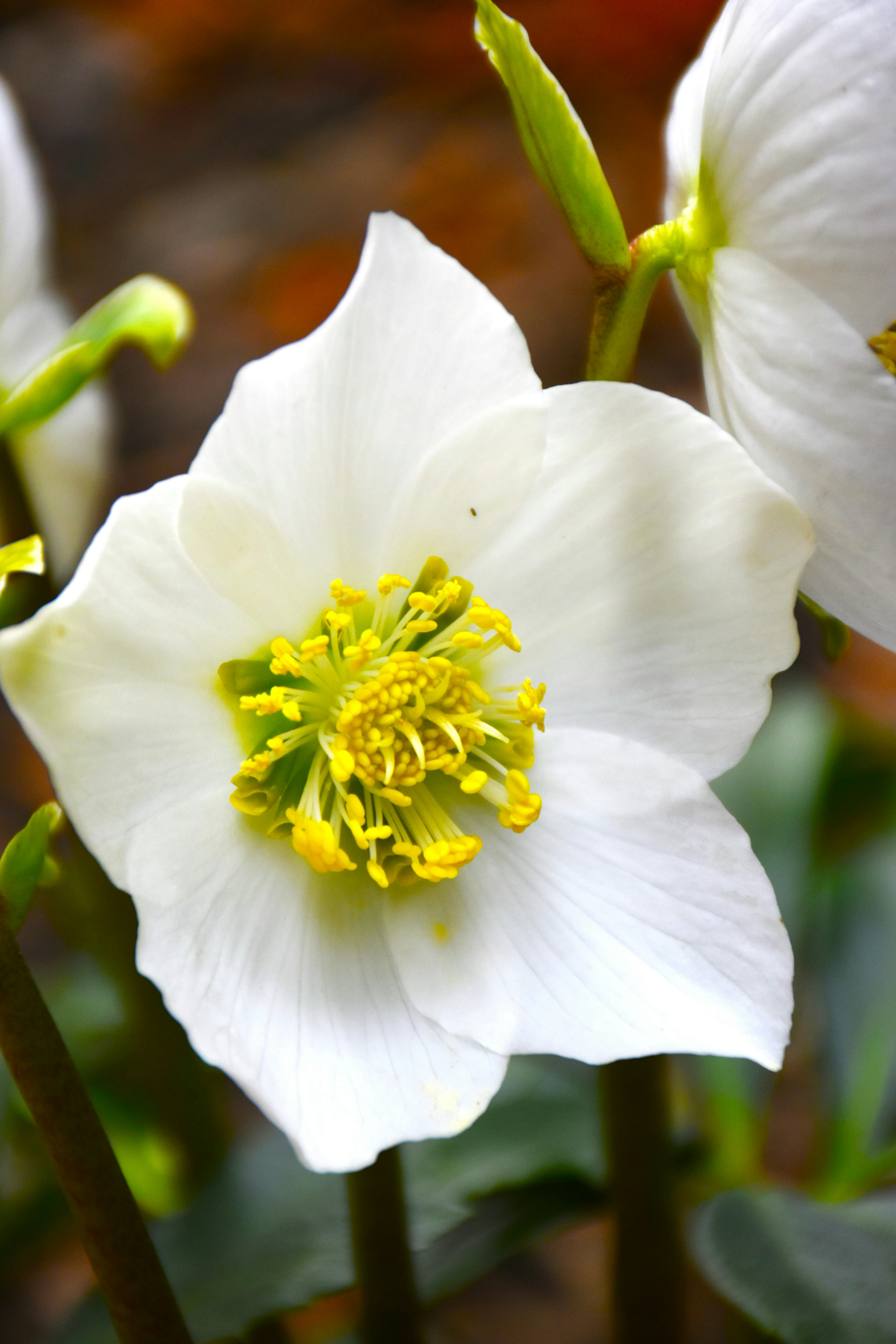 Photo by znphotogarphy