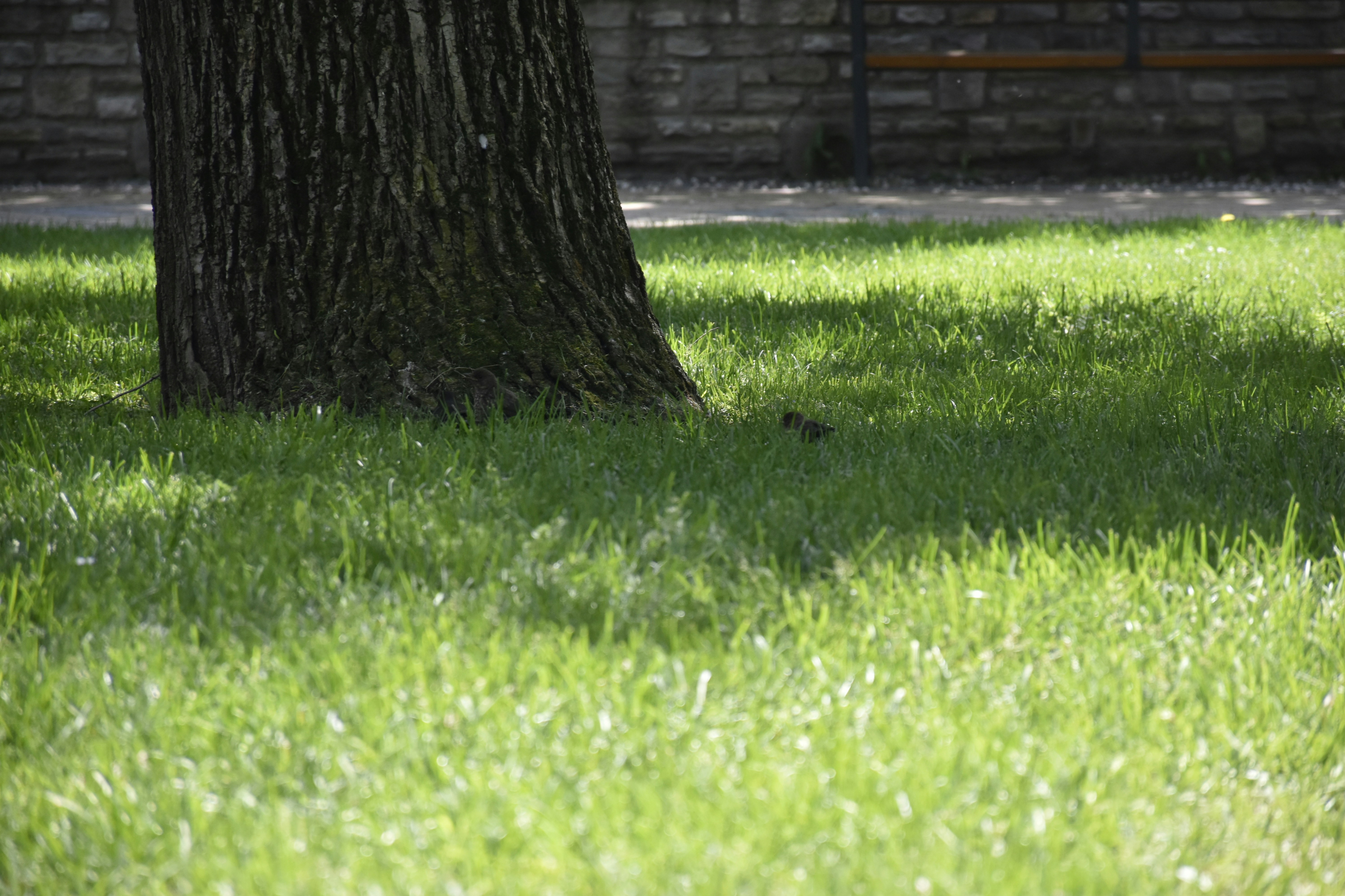 Photo by znphotogarphy