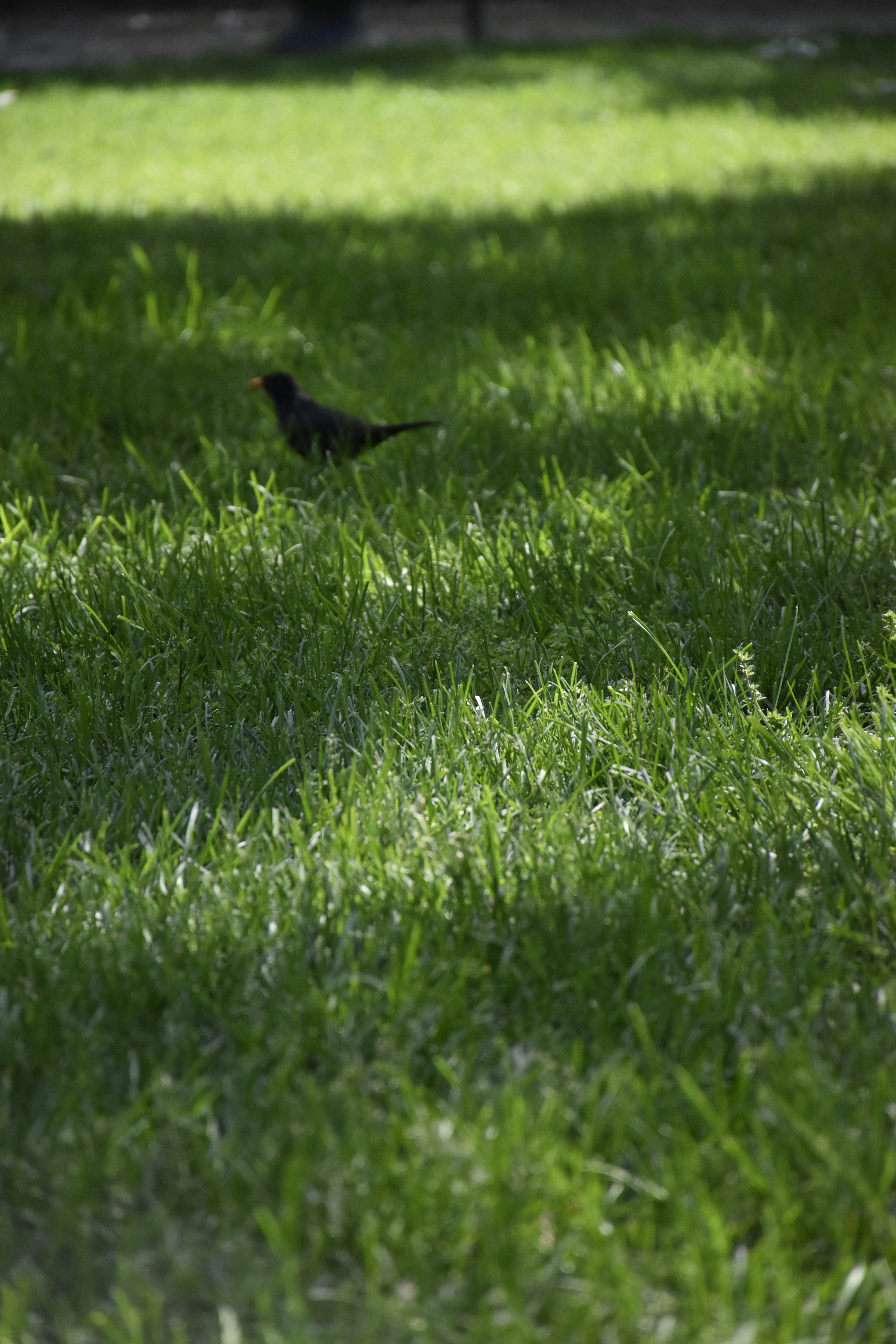 Photo by znphotogarphy